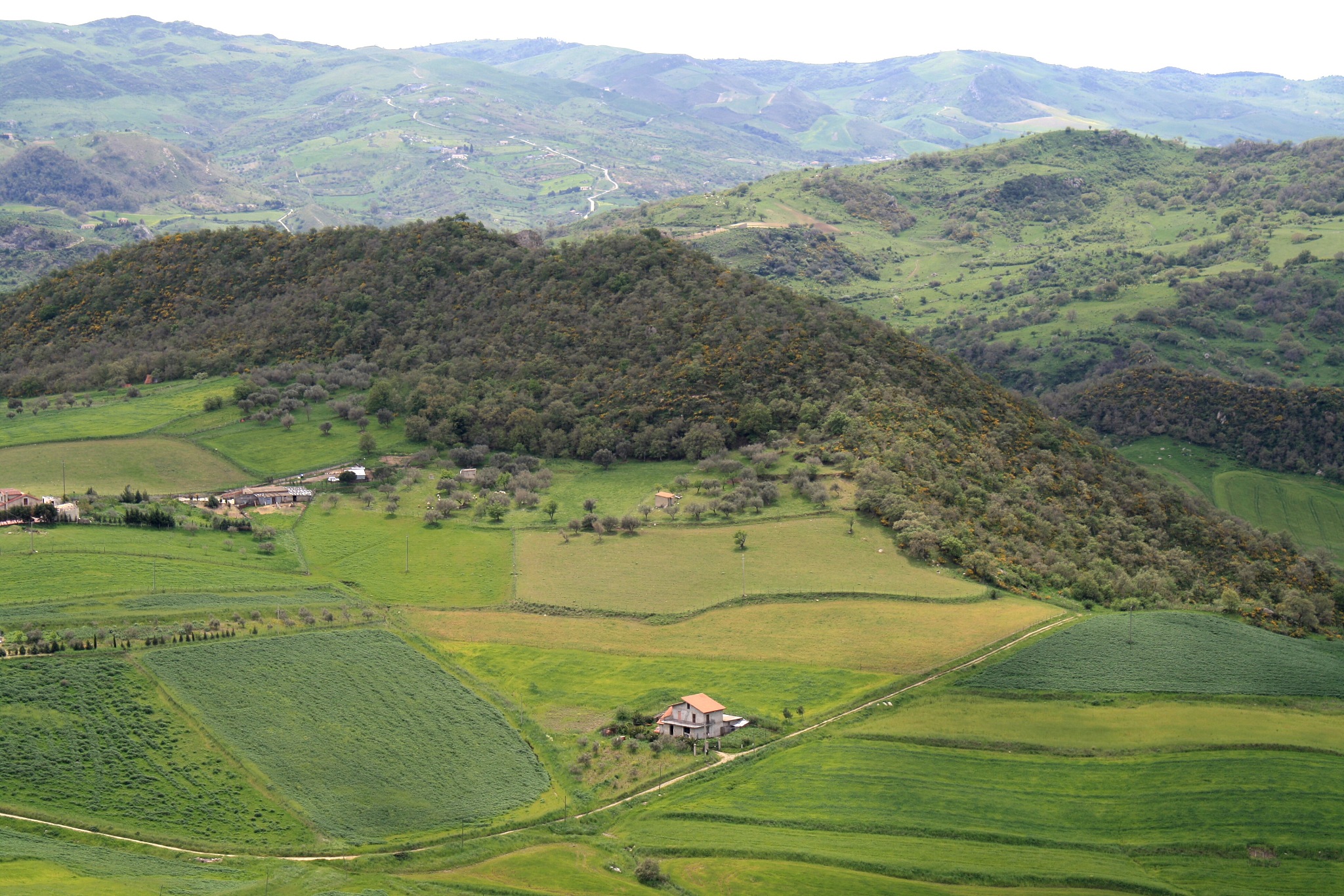 high angle view of agricultural field