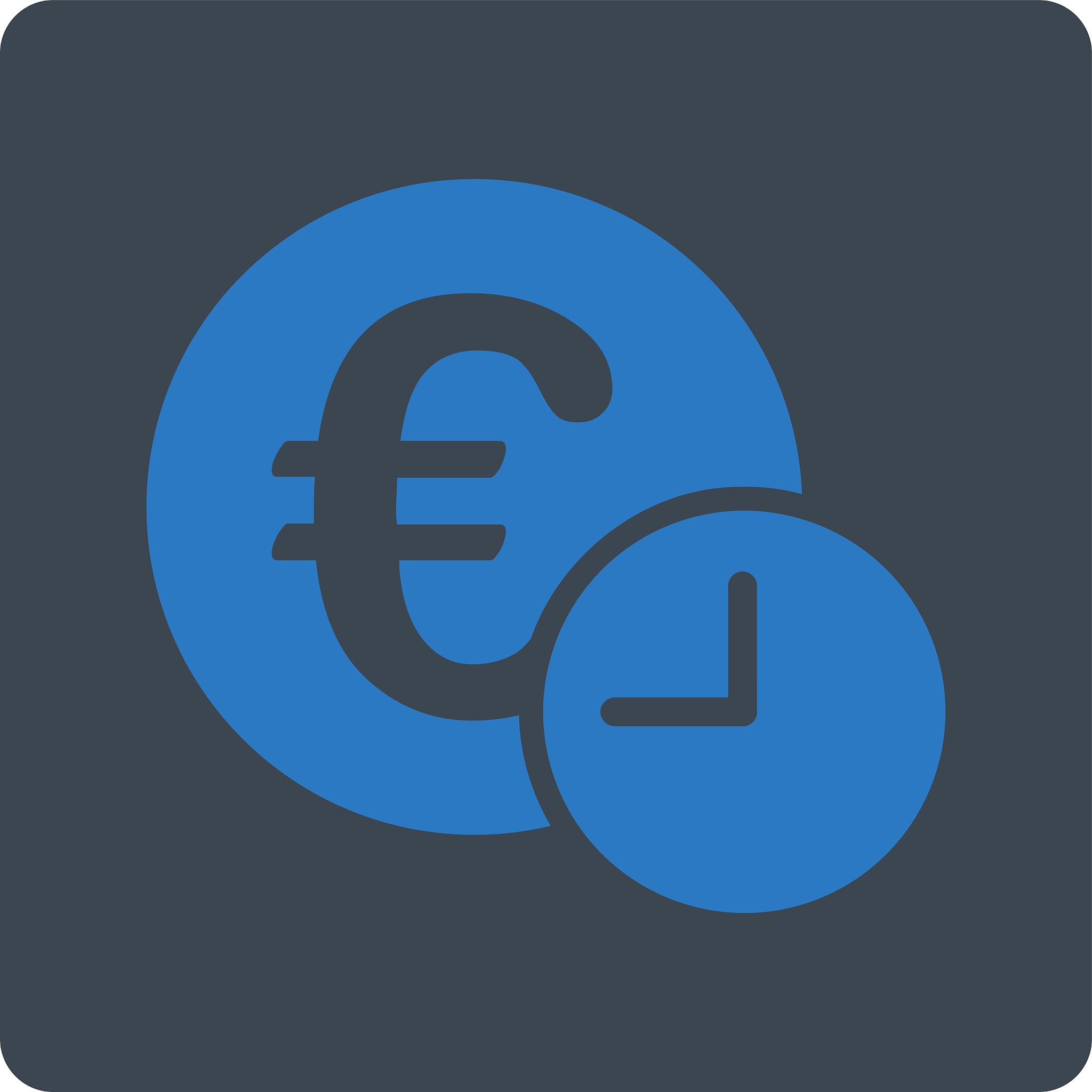 euro credit icon