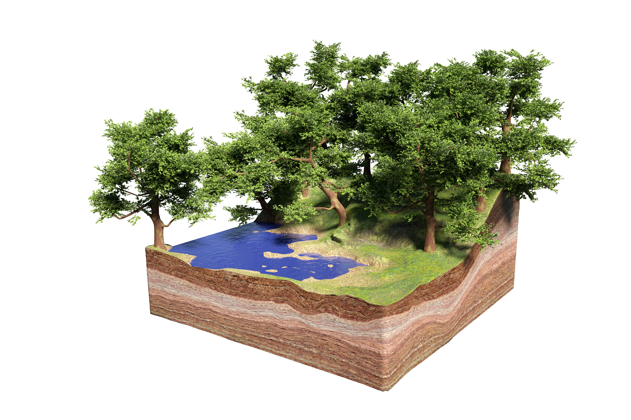 人工湿地与串联系统微生物群落结构差异及对水质净化的影响