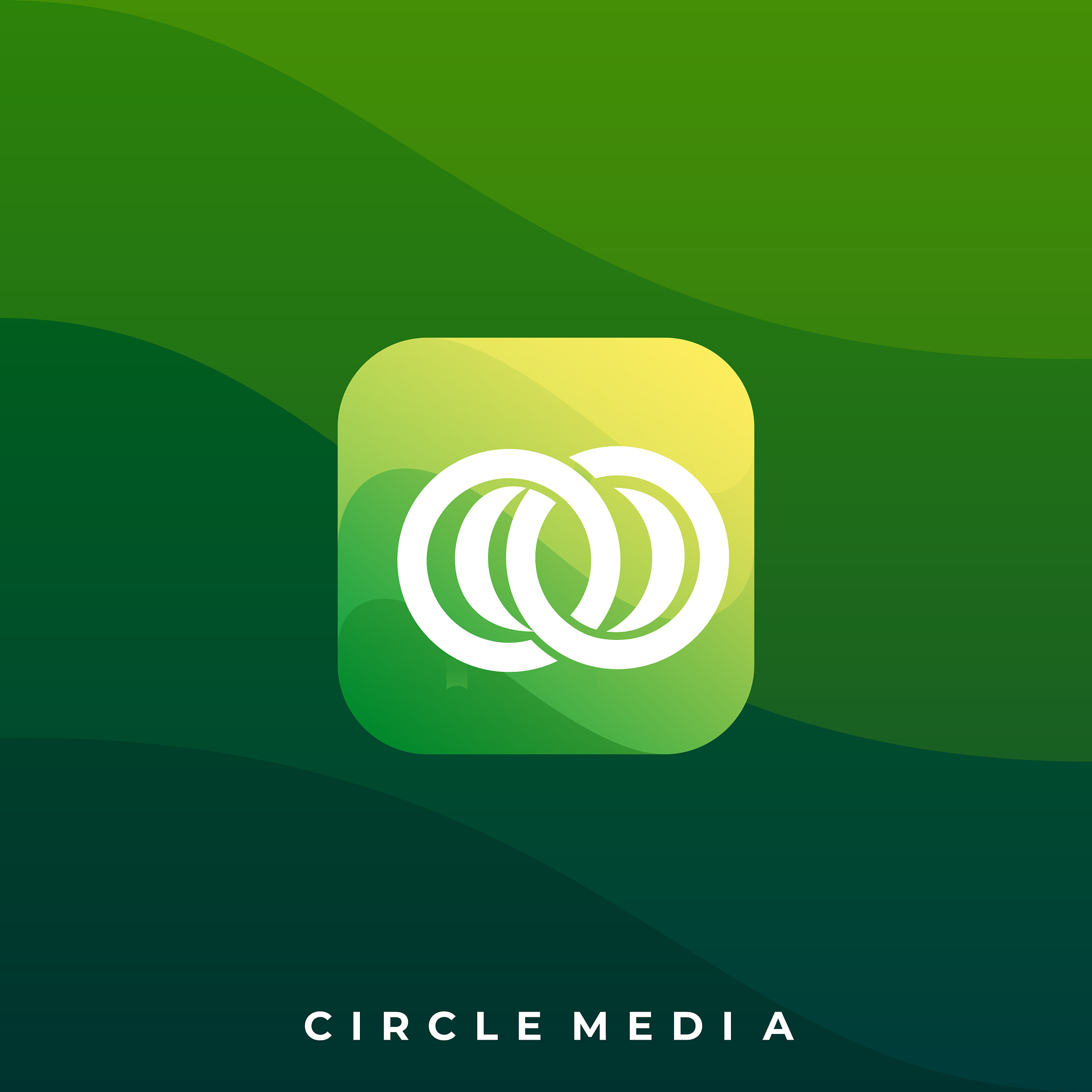 media icon application design template