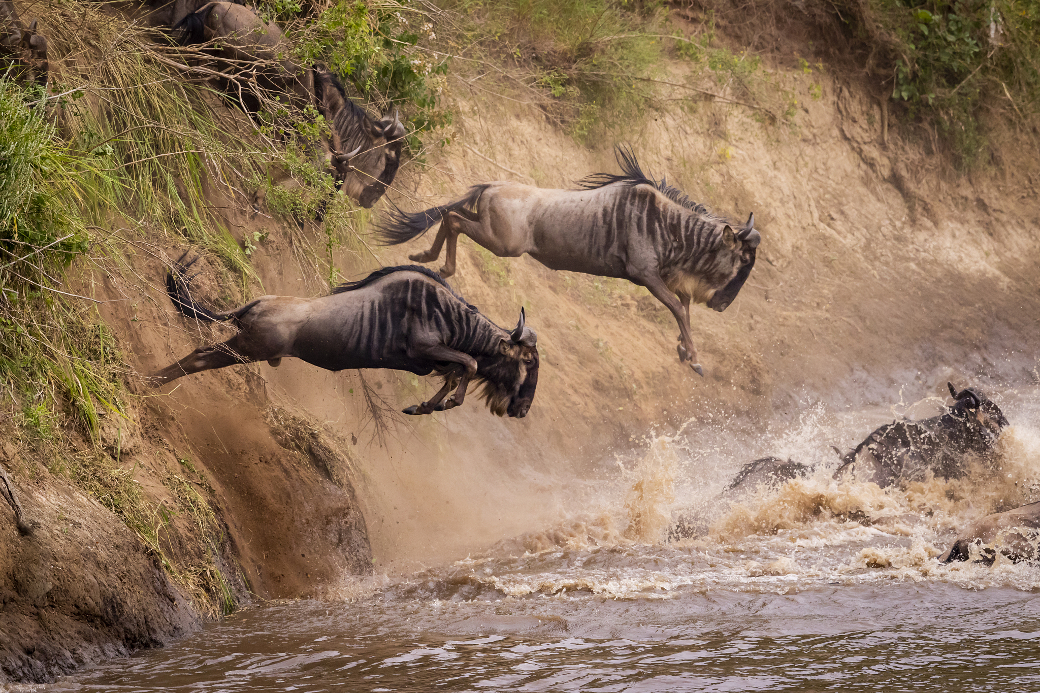 great migration