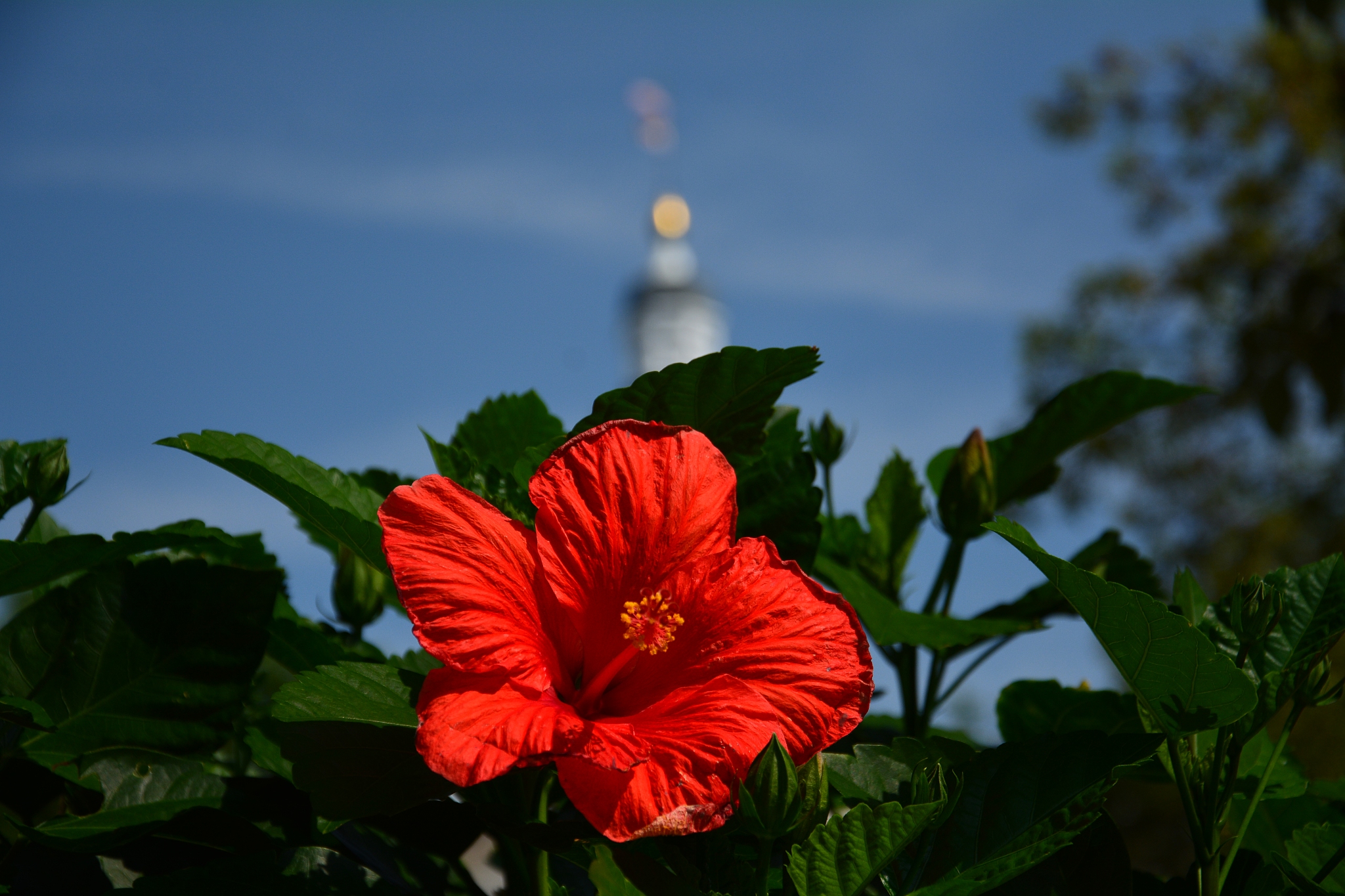 Mastercam 2022 后处理文件：SET_BY_MD 解释