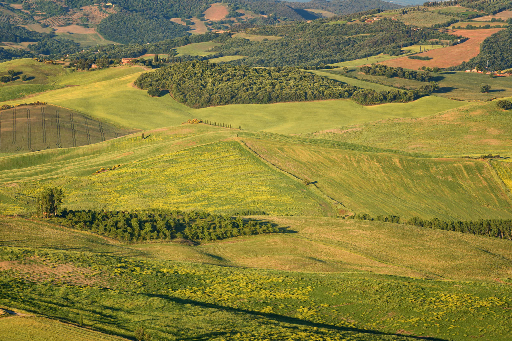 magnificent spring rural landscape. beautiful view of typical tu