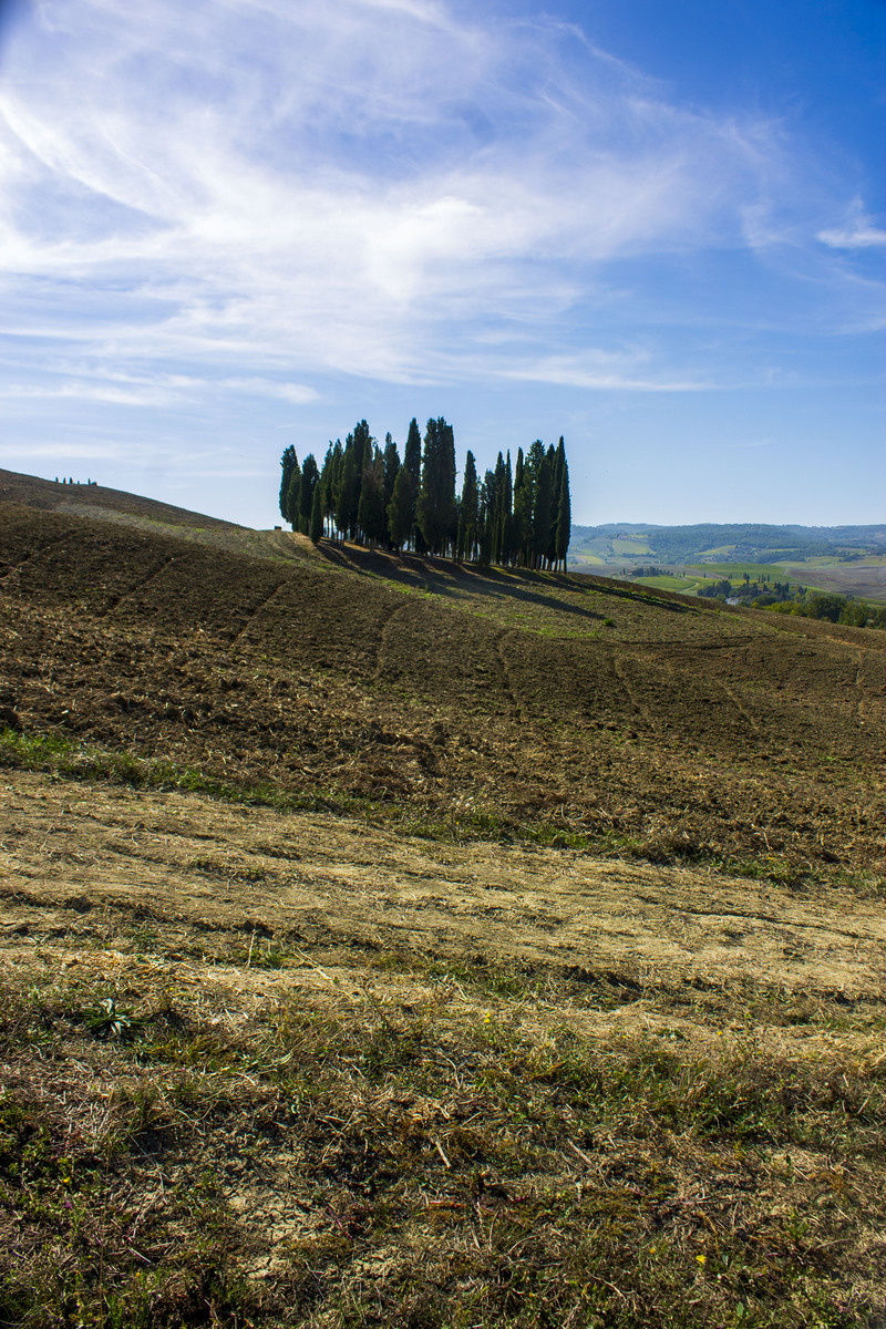 乡镇企业管理专科课程有哪些？