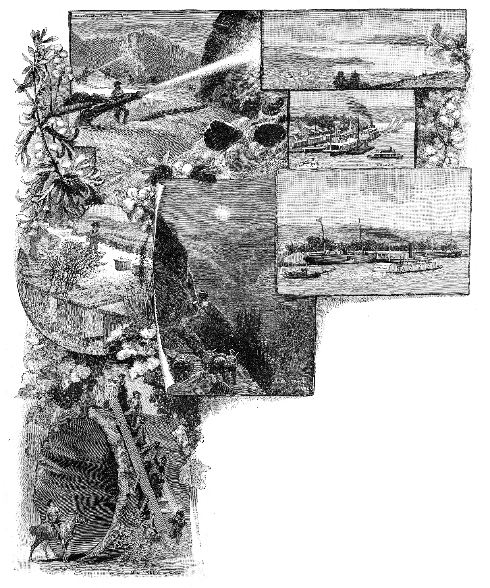 危机时期为何频现诗人和艺术家？