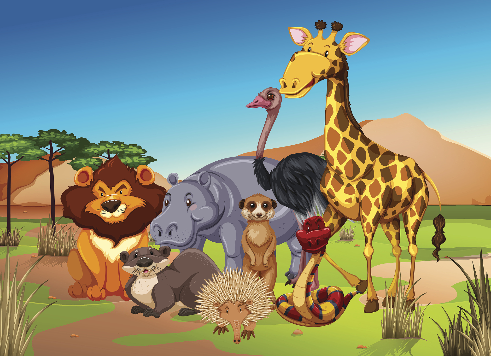 动物园：保护、教育与争议的交汇点