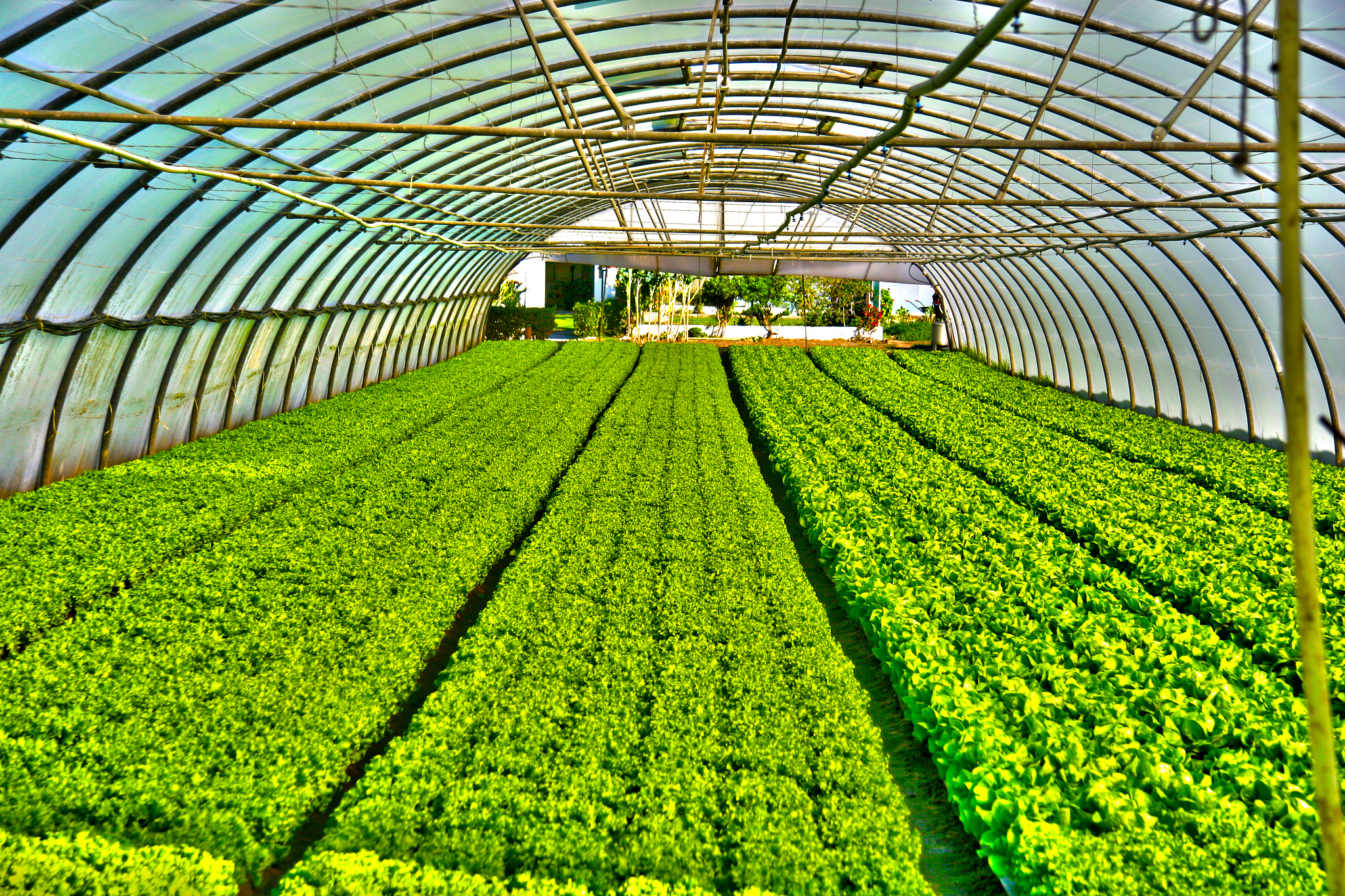 河南省低碳农业发展：现状、措施与未来