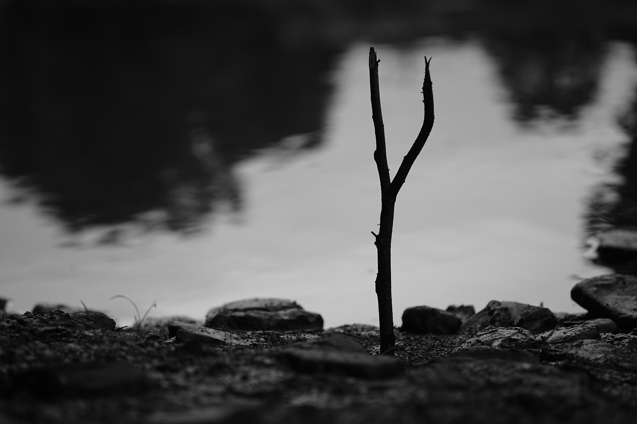 面对绝望？请记住，生命值得珍惜！