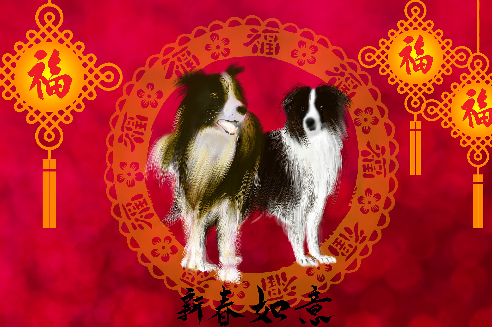 80岁属什么生肖？2022年属狗，解析其性格和寓意