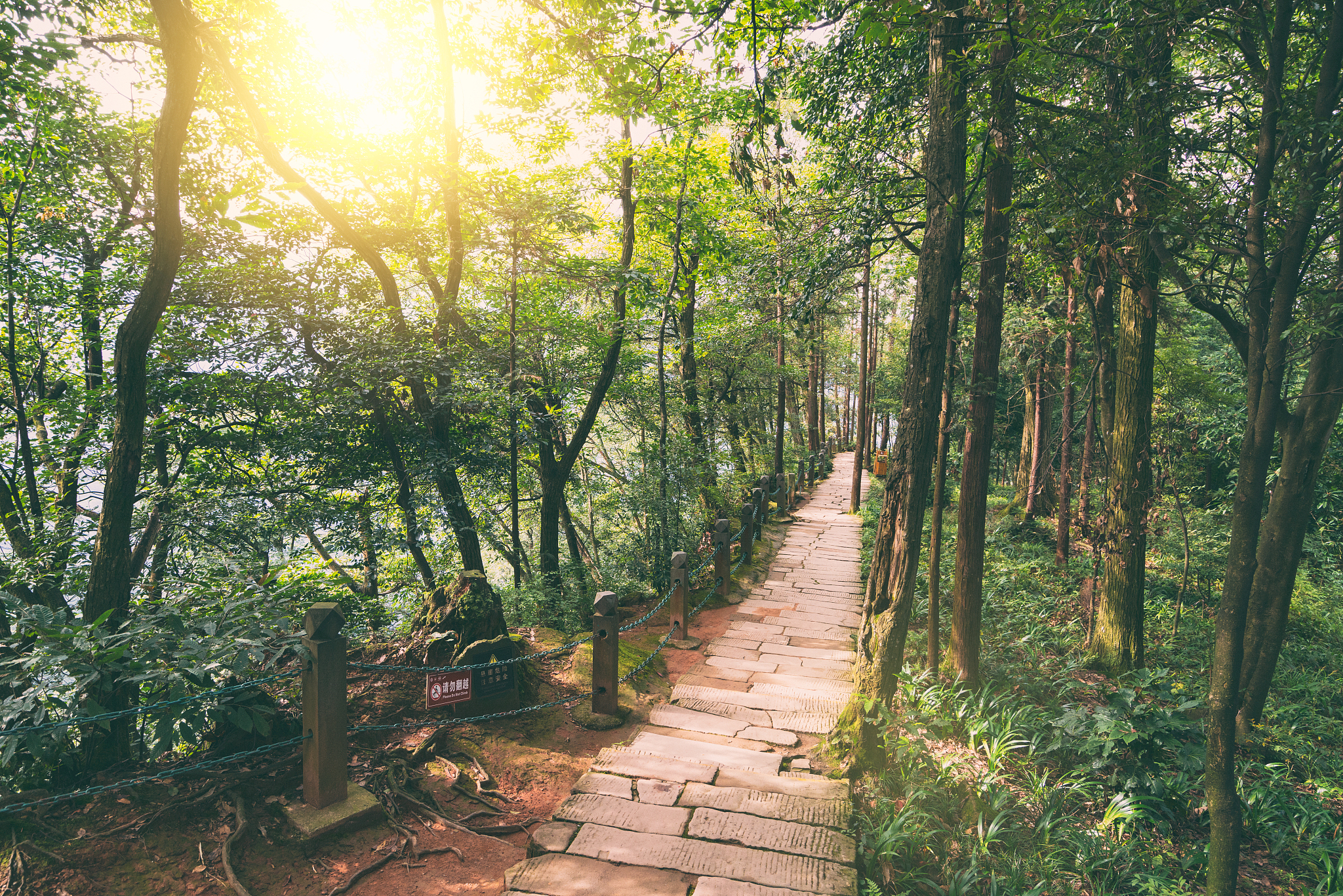四川省旅游学校风景园林设计专业招生