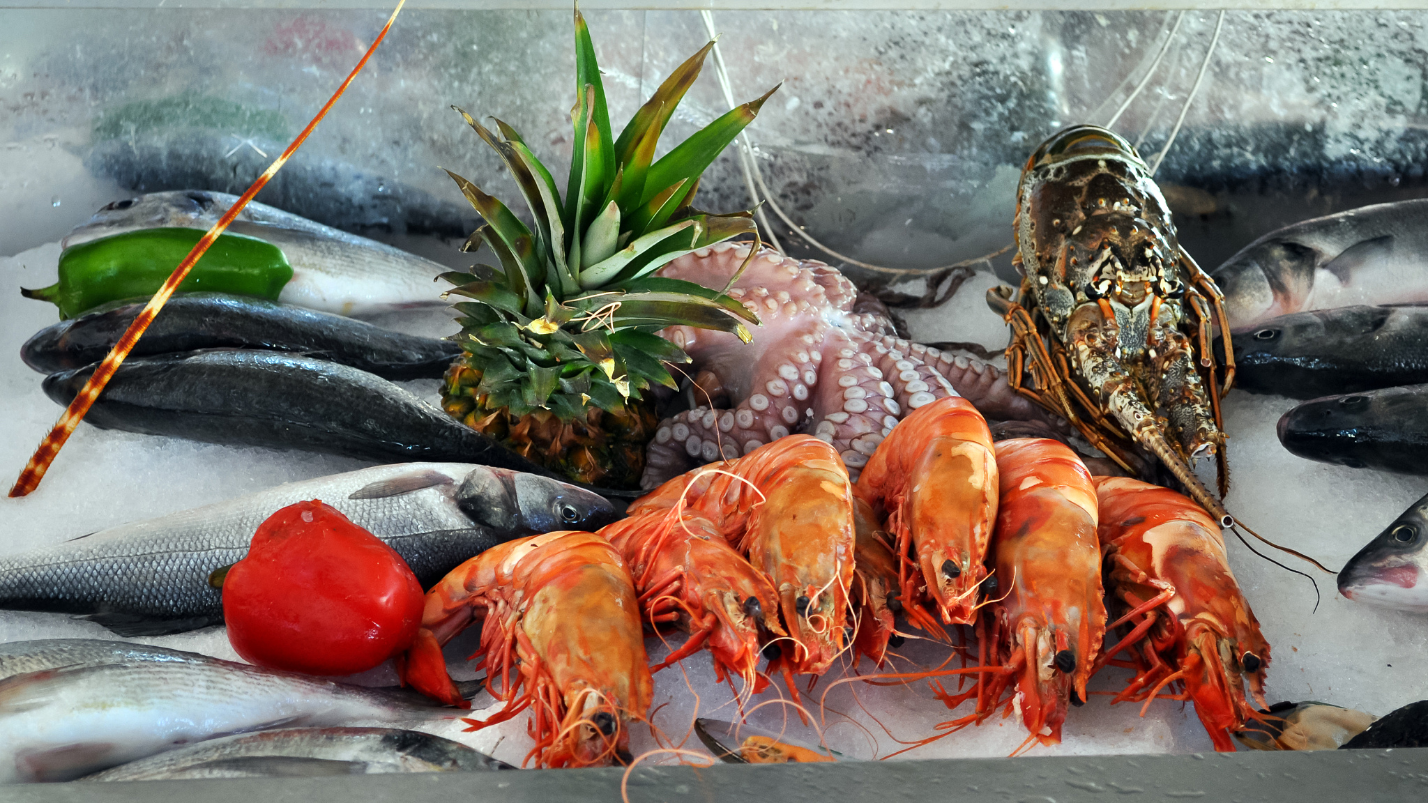 河南水利职业学院水产养殖技术专业如何