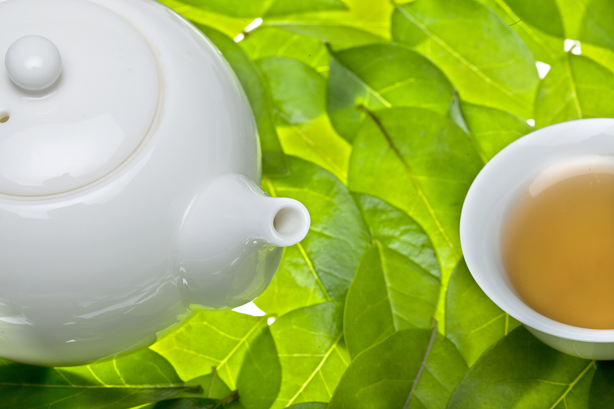 2020年桐梓中等职业学校招生专业有哪些