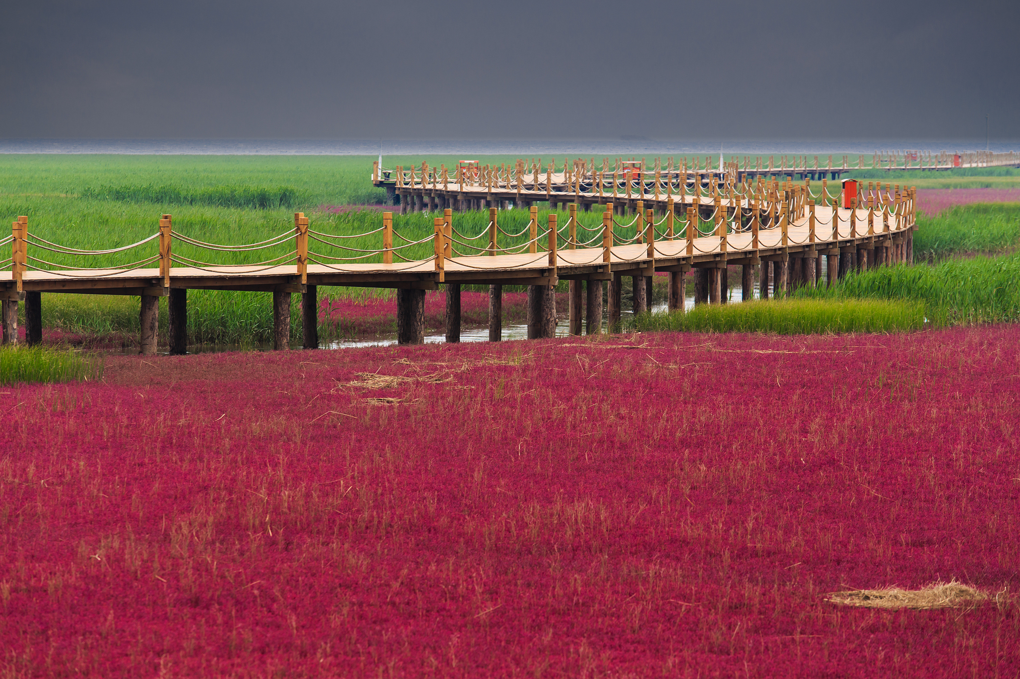 盘锦的媒体曝光平台有哪些｜盘锦媒体曝光求助热线是多少 要求：创建一篇1500至2000字的解决方案