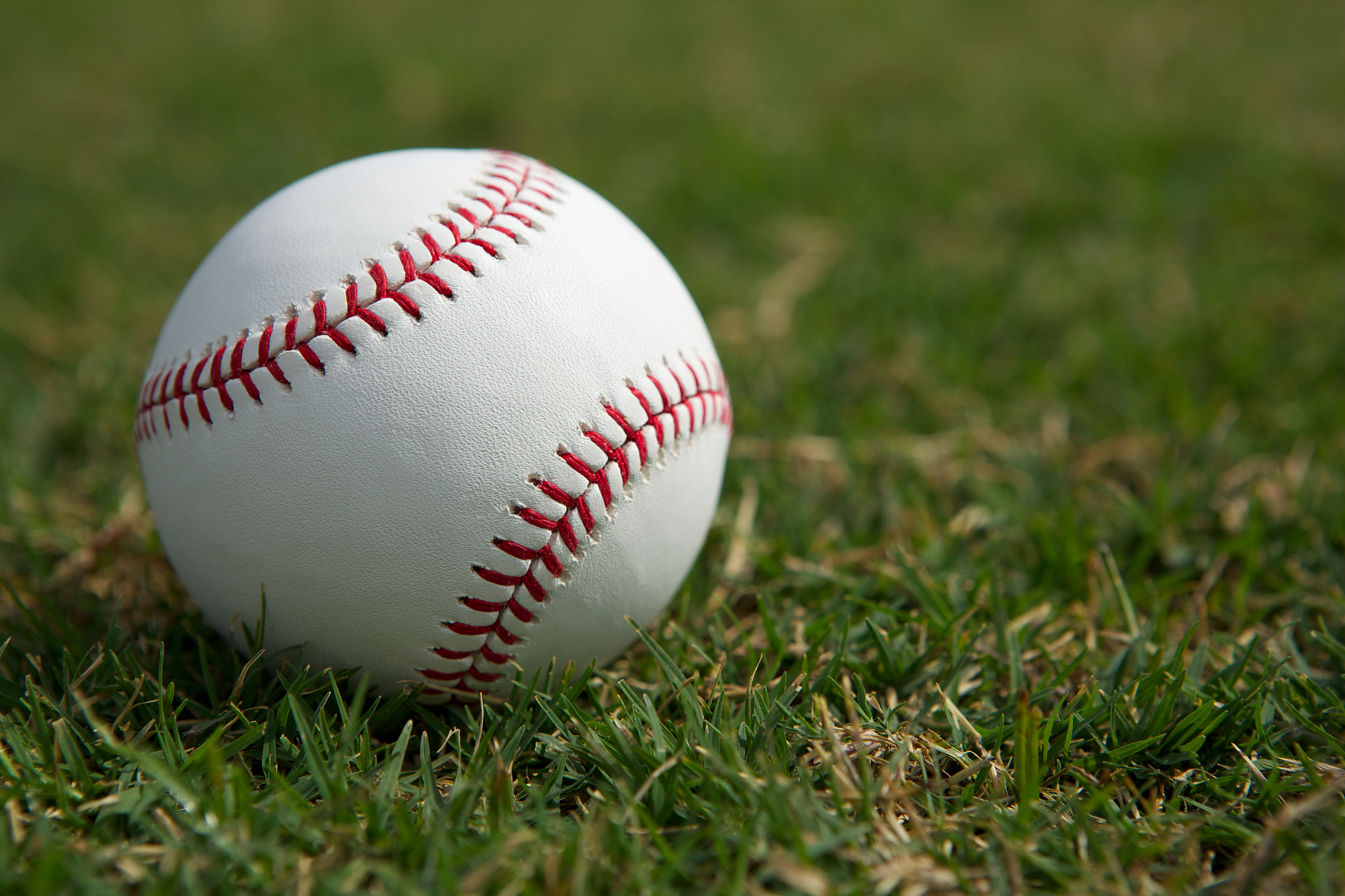 baseball in the outfield grass