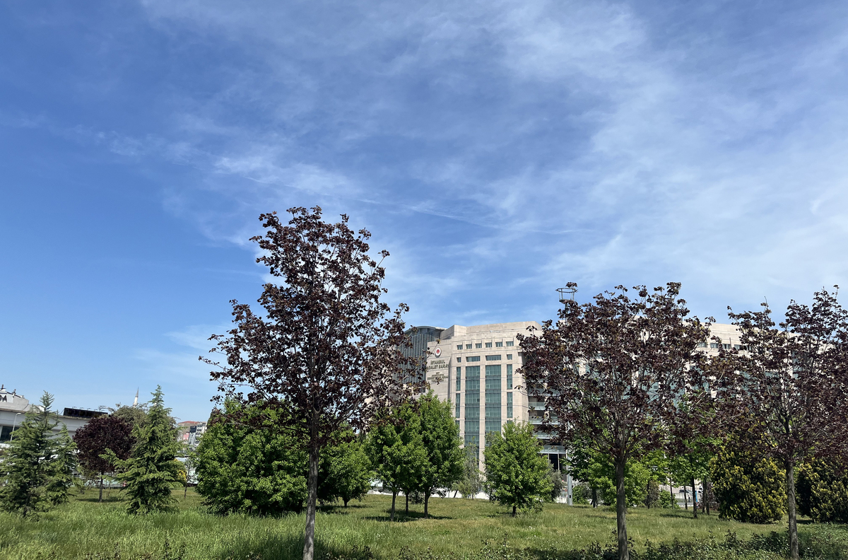 河南财经政法大学 - 经济法学管理专业 本科院校