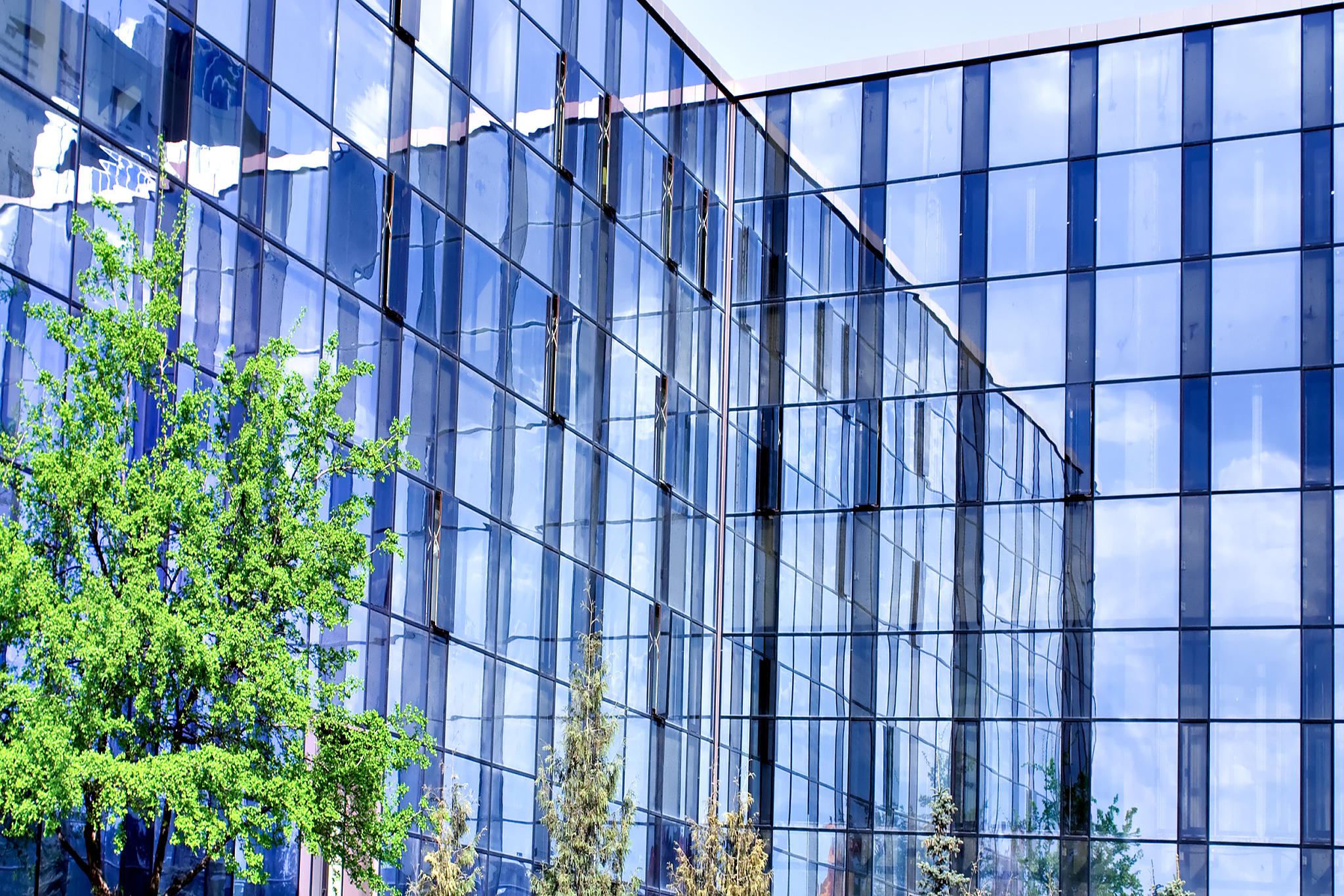 glass buildings and blooming apple trees garden in spring