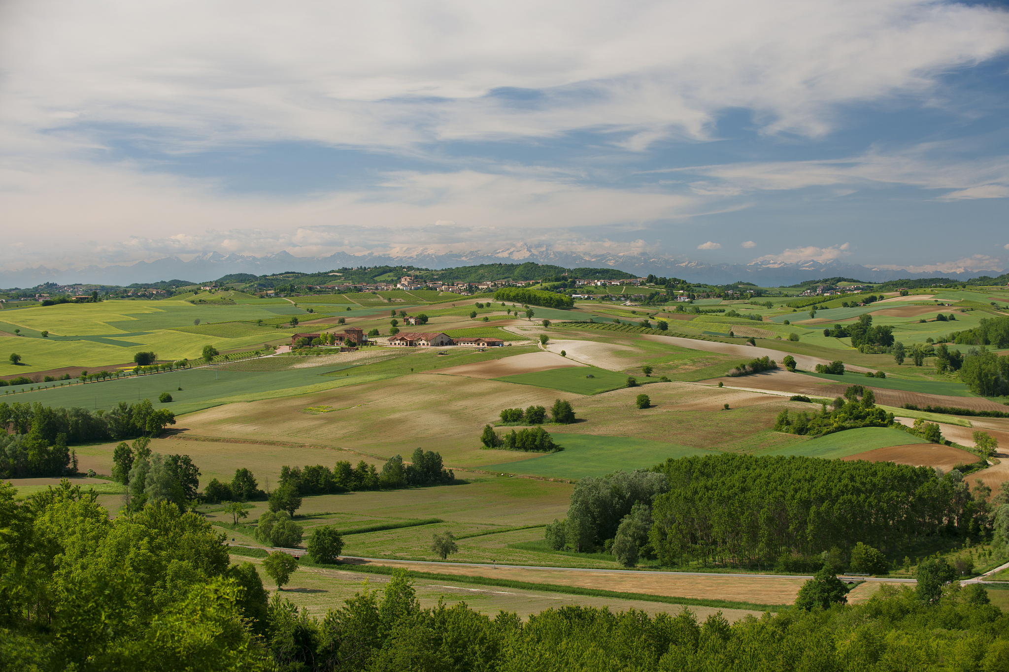green hills and trees of monferrato in spring, piedmont, italy