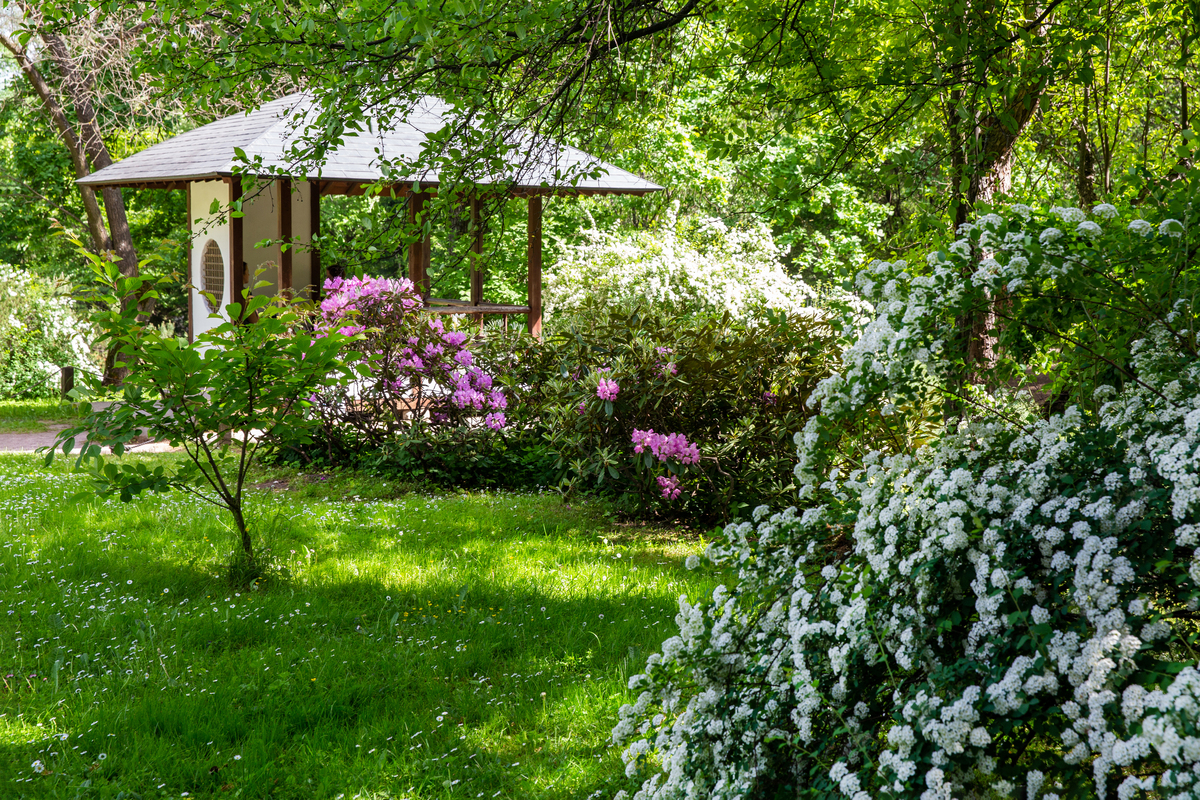 庭院绿茵一片背靠山环绕的自然风光生活