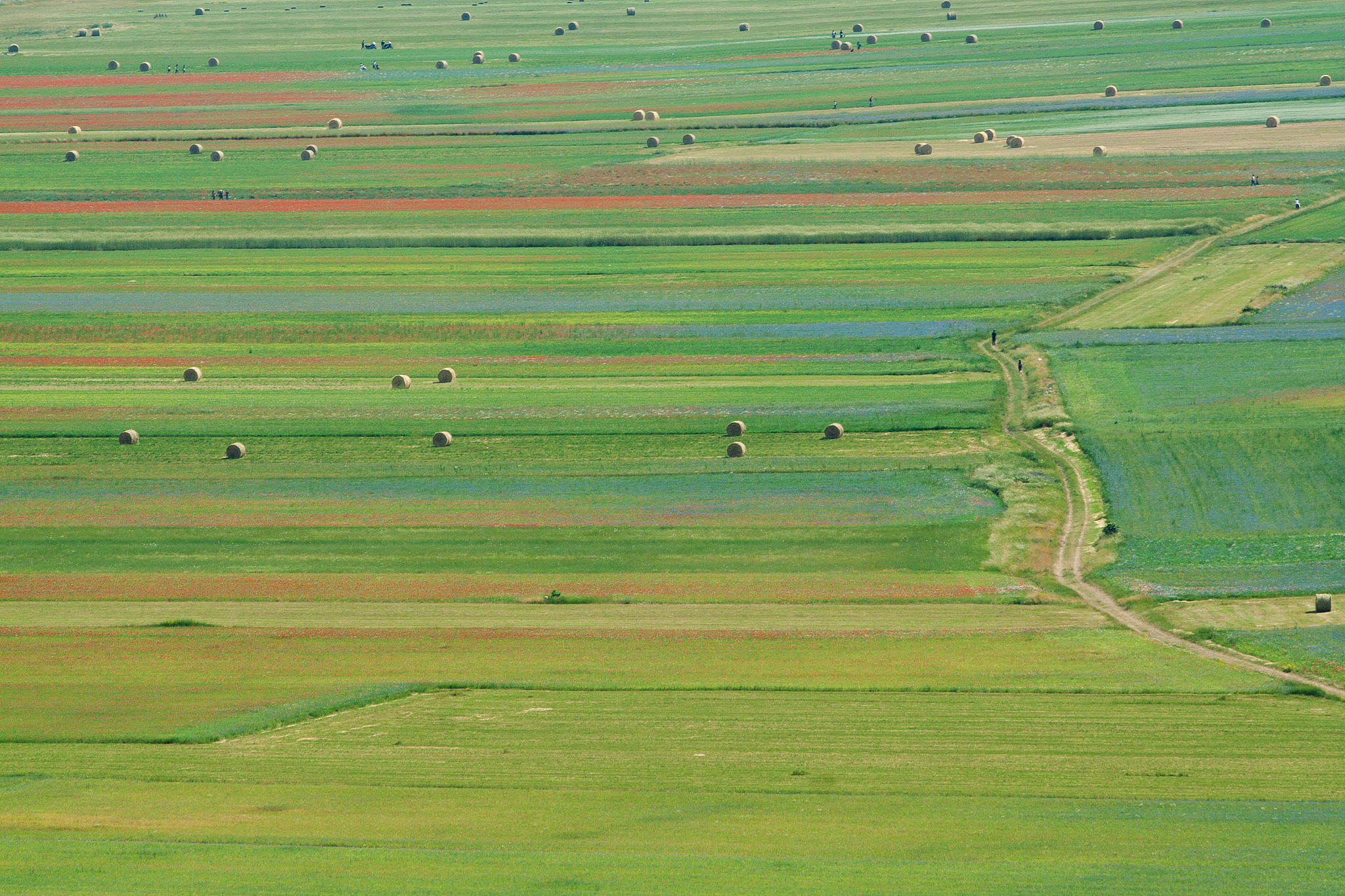 landscape of the plain of castelluccio, in italy