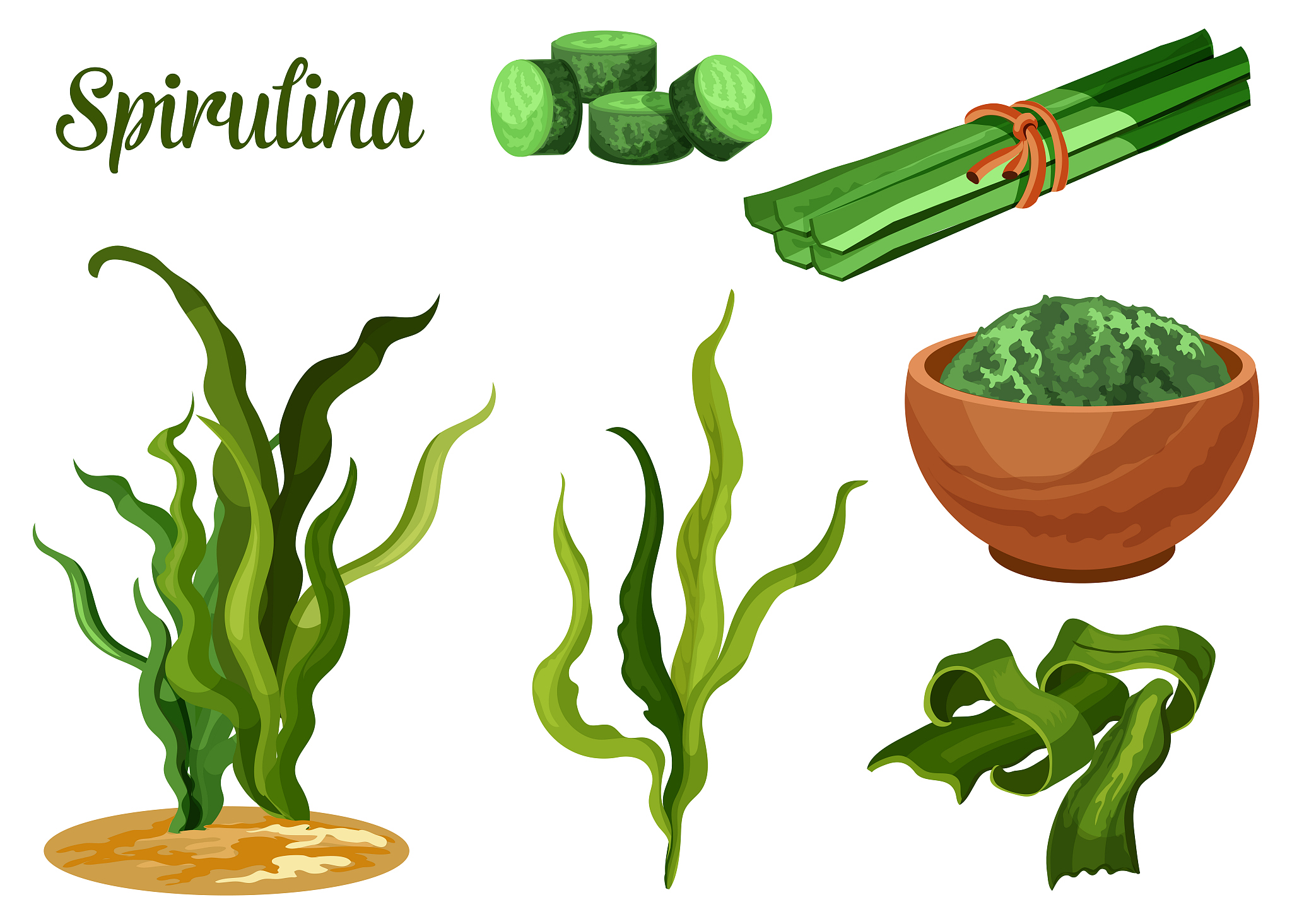 seaweed spirulina, superfood dietary supplement