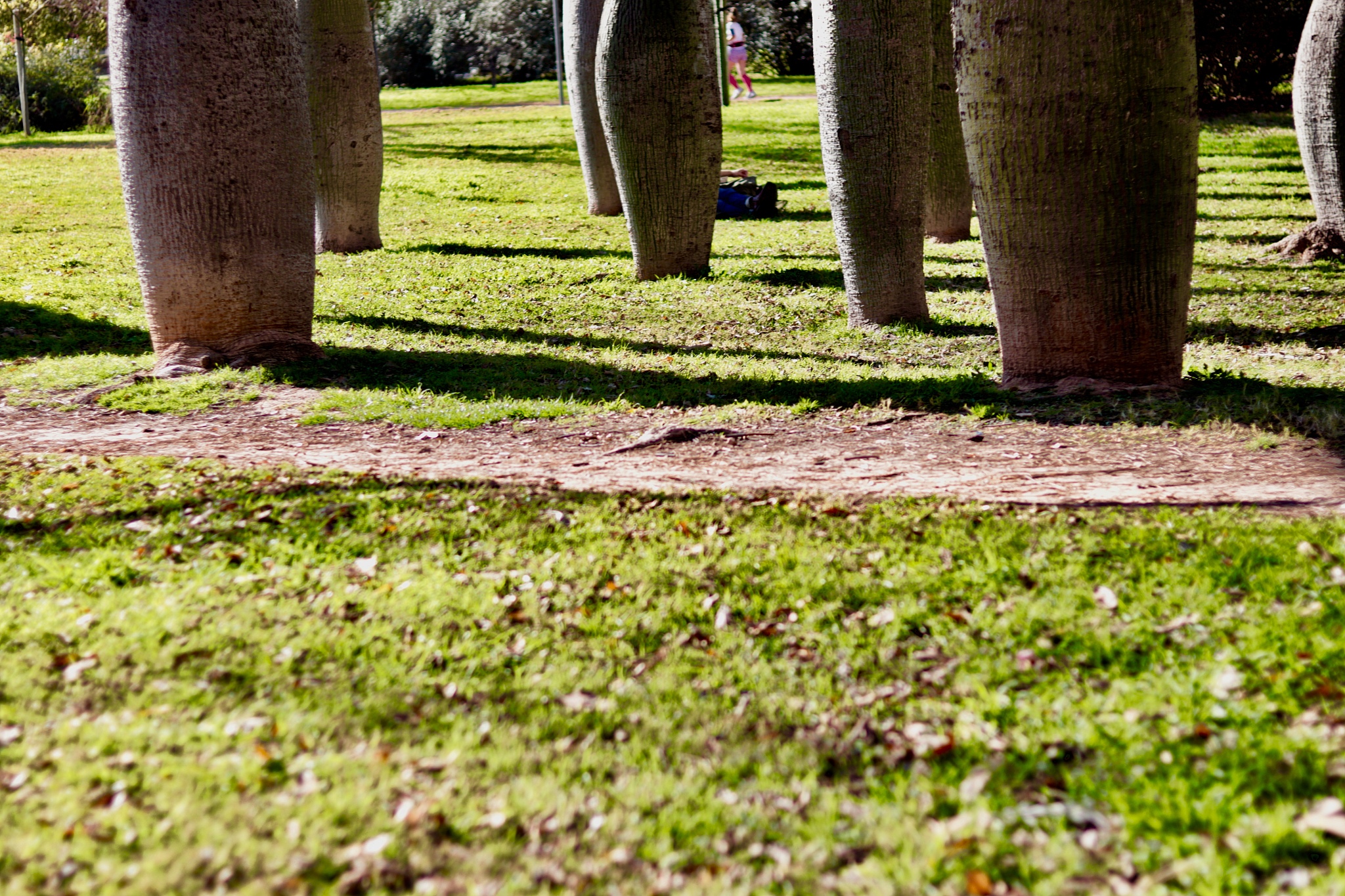 贵州农业职业学院园林工程技术专业怎么样都要学些什么内容
