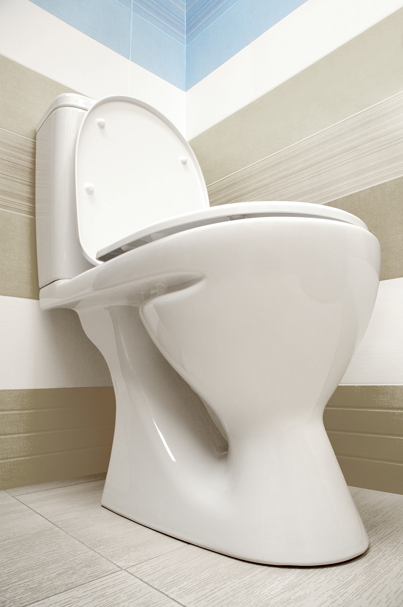 toilet viewed from below