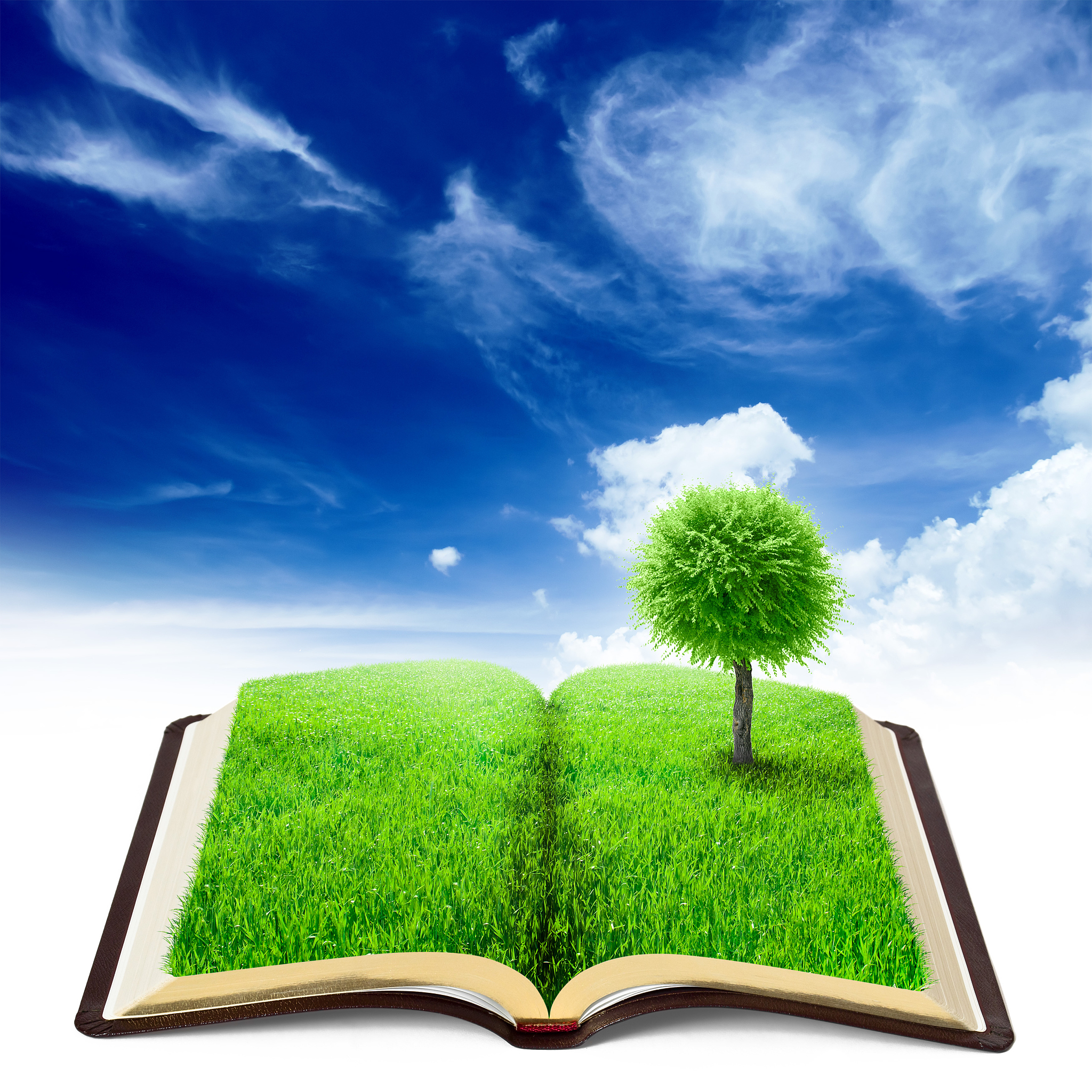 研究者在探讨学生学业自我效能感的影响因素时注重个体的文化背景和社会环境因素帮我把上面的文字降重