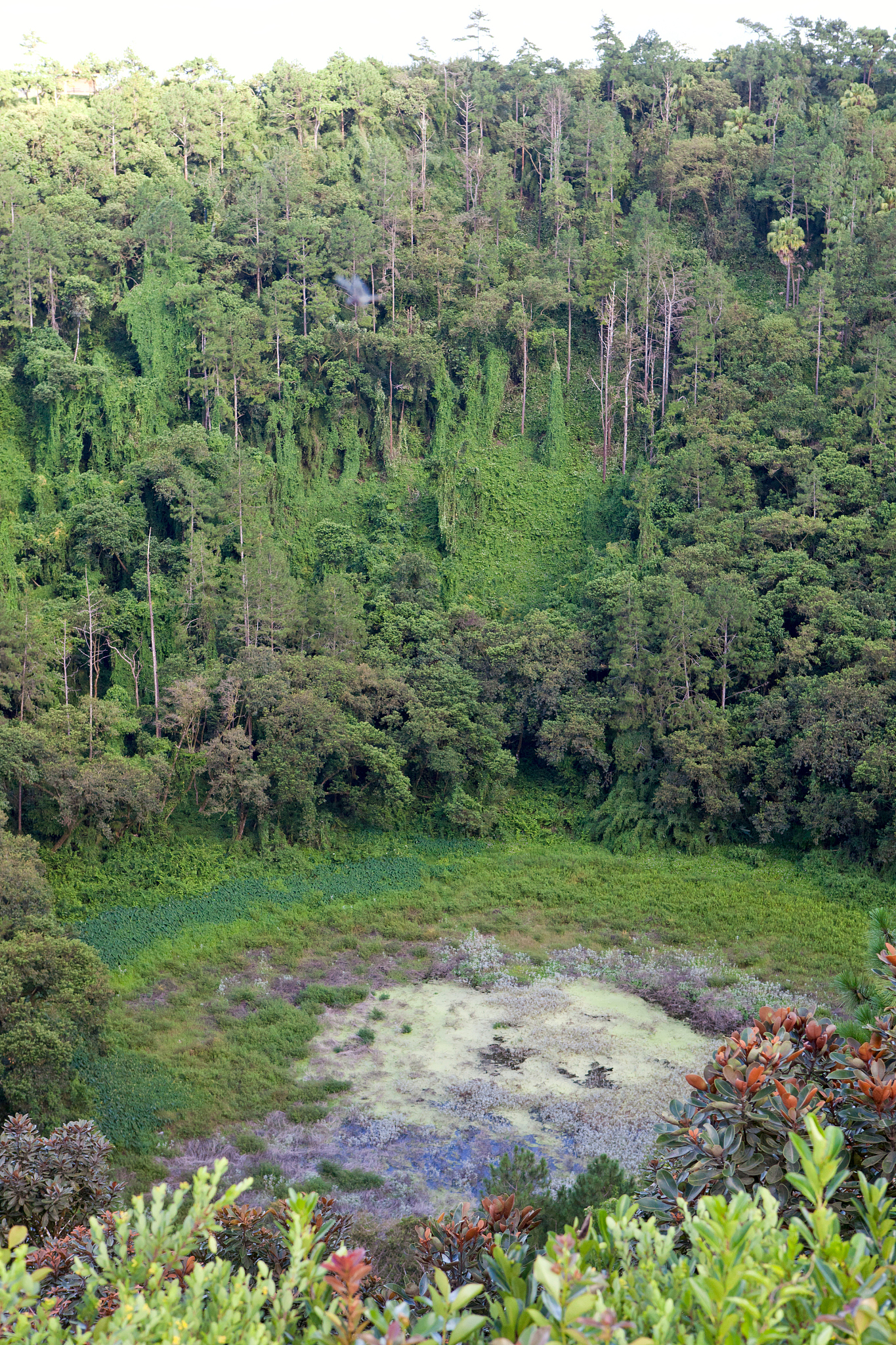 Explore the Wonders of Parks: A Serene Sanctuary