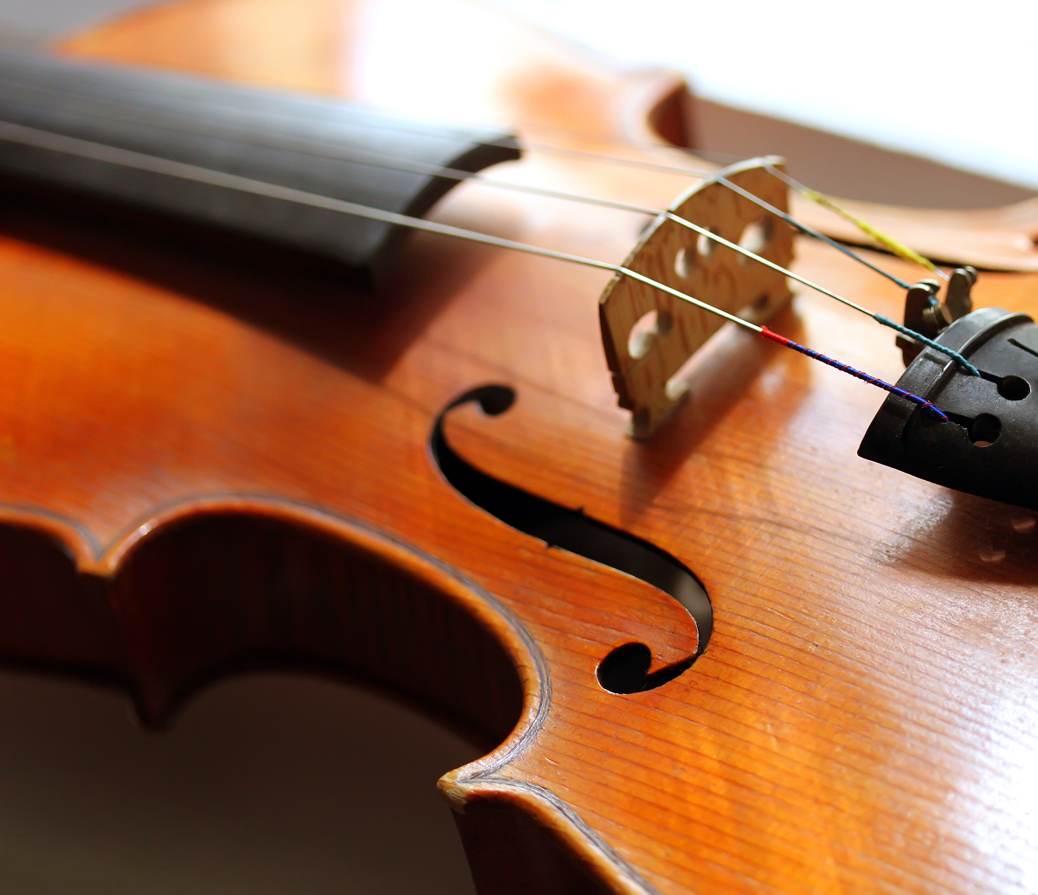 石河子大学音乐学专业课程有哪些？ - 培养未来音乐家