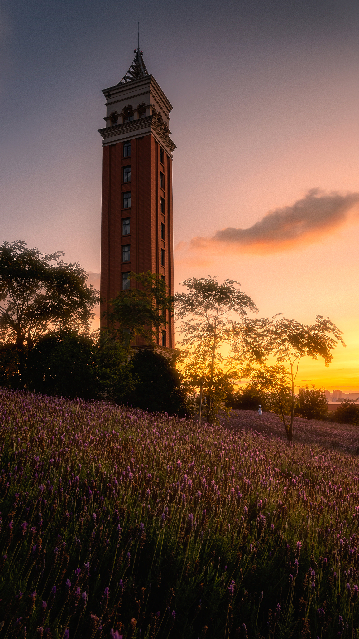 云南2022年哪个卫校好