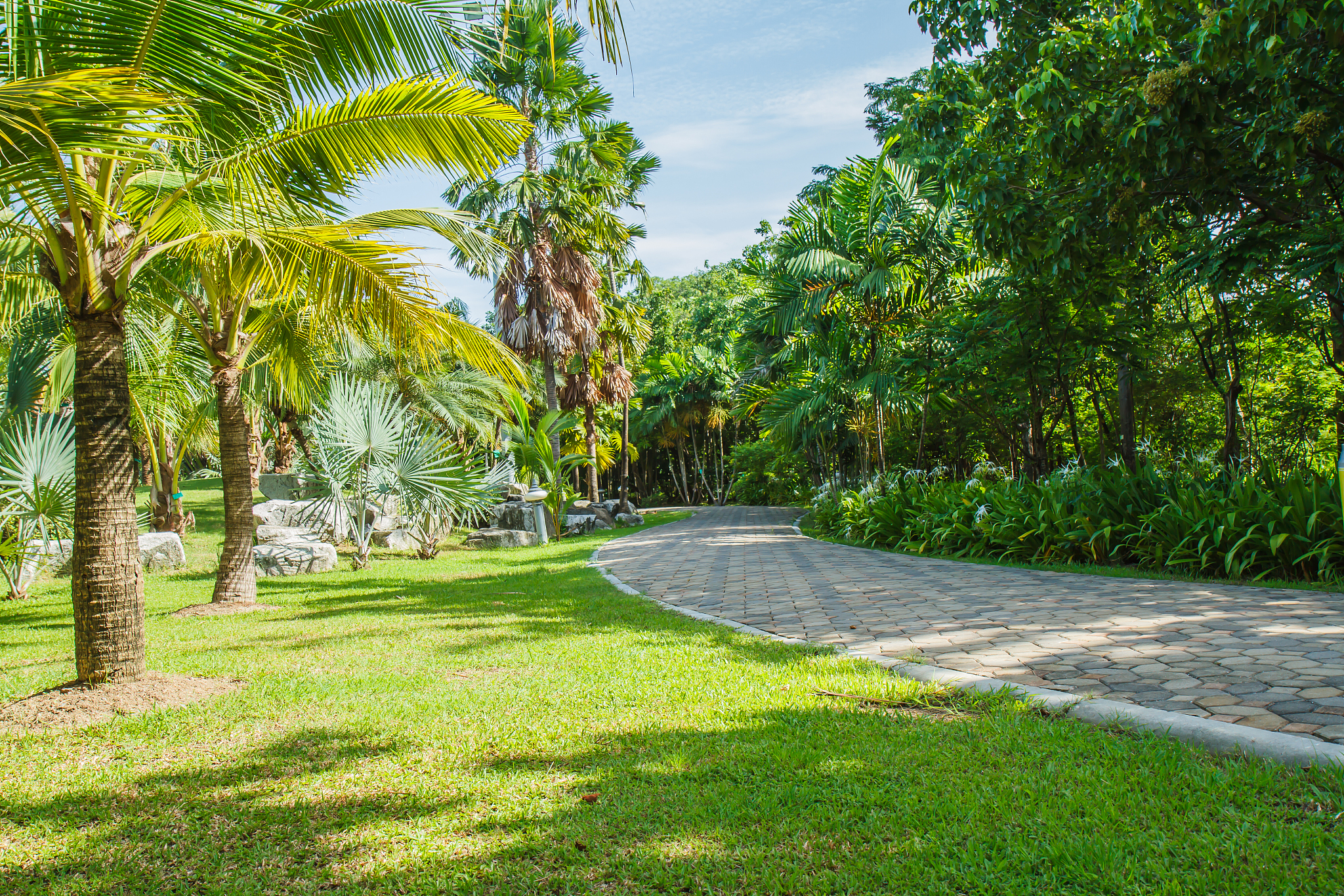 商丘职业技术学院园林技术专业涉及哪些课程怎么样