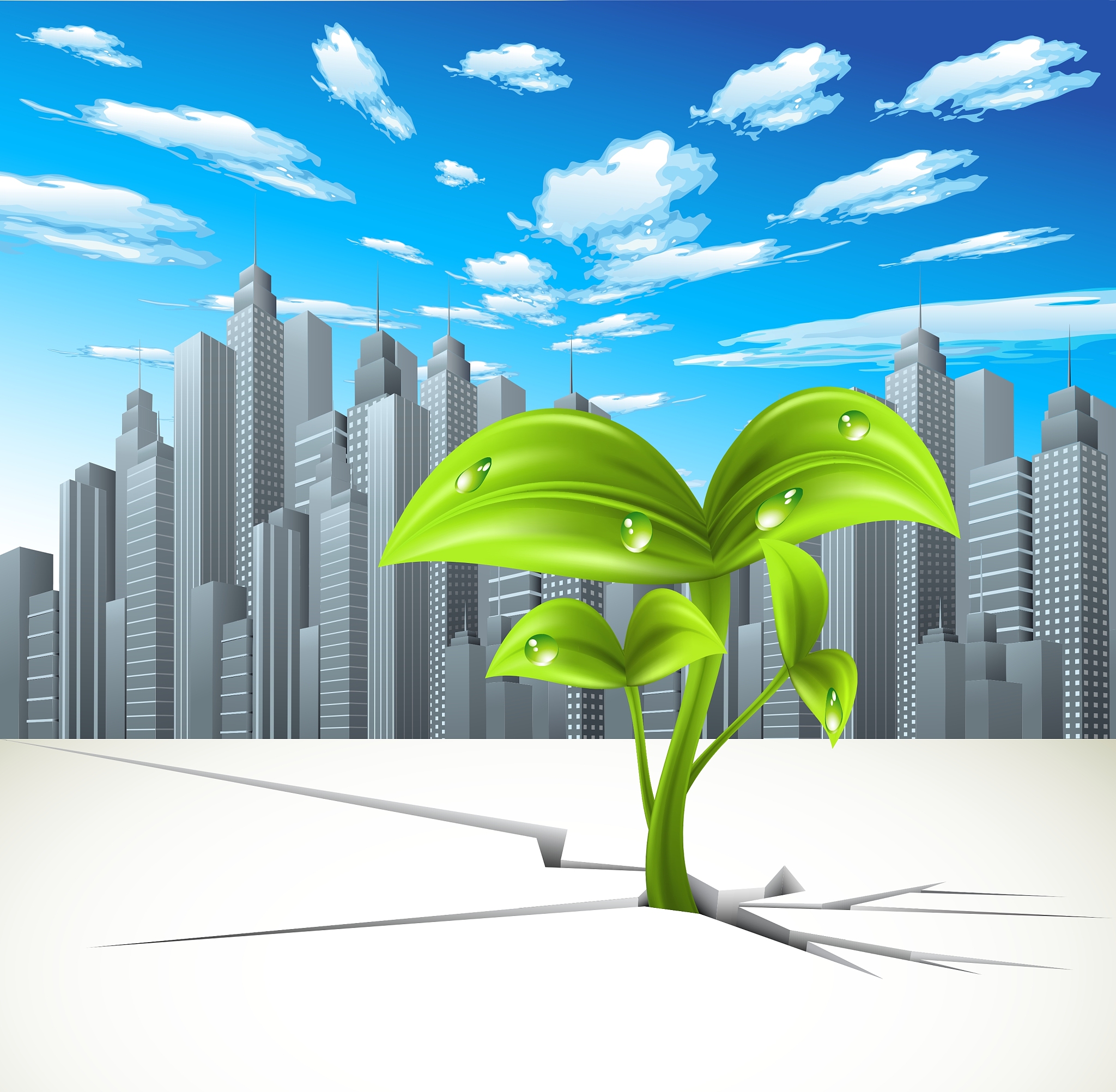 建筑公司社会责任实践报告 -  环境、社区和创新