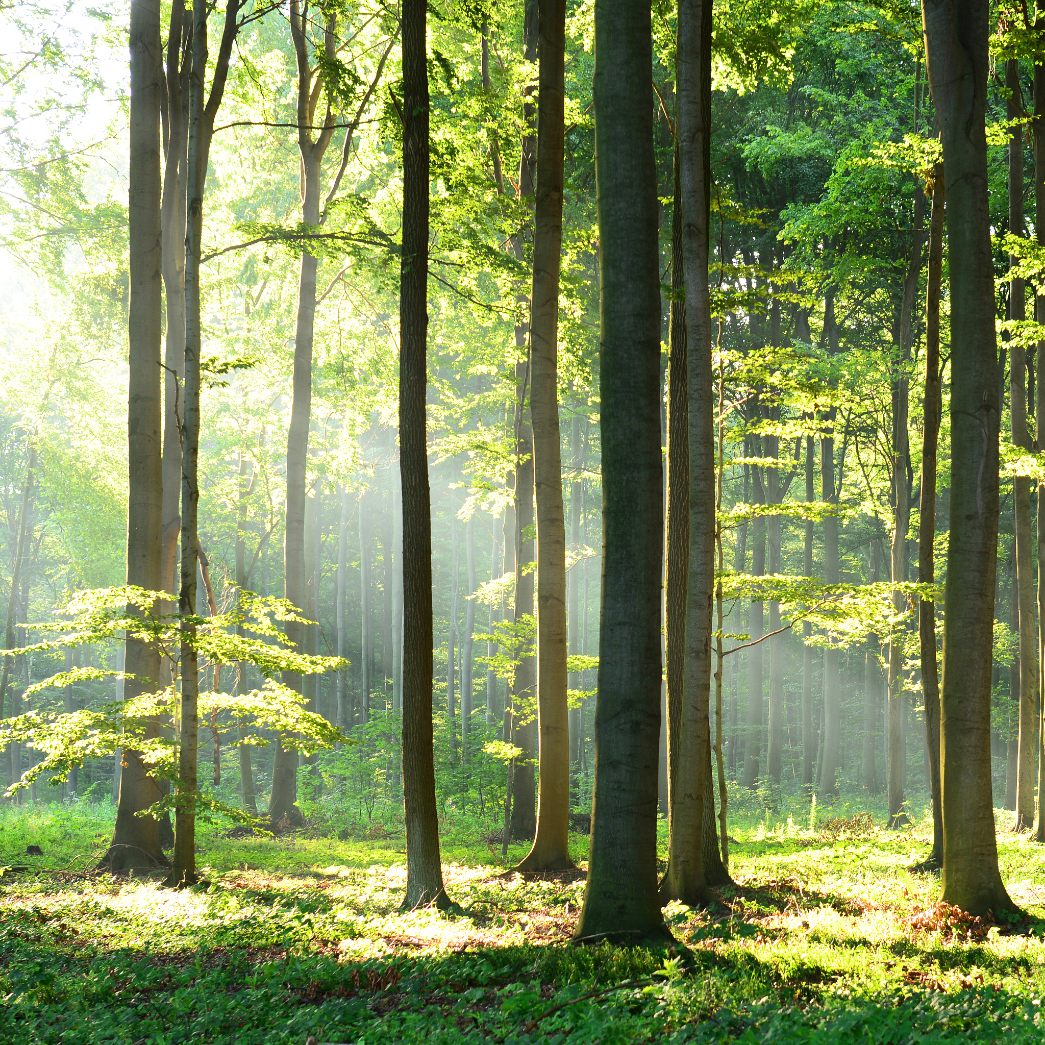 农业与森林气象学期刊: 研究内容与影响力