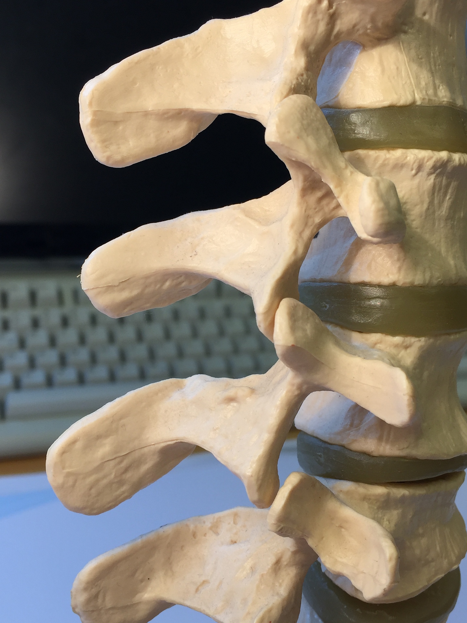 山西药科职业学院怎么样？毕业后找工作容易吗？