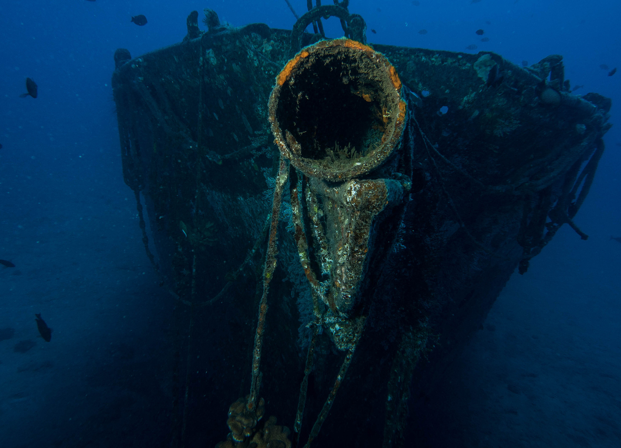 海洋生物污损的摘要