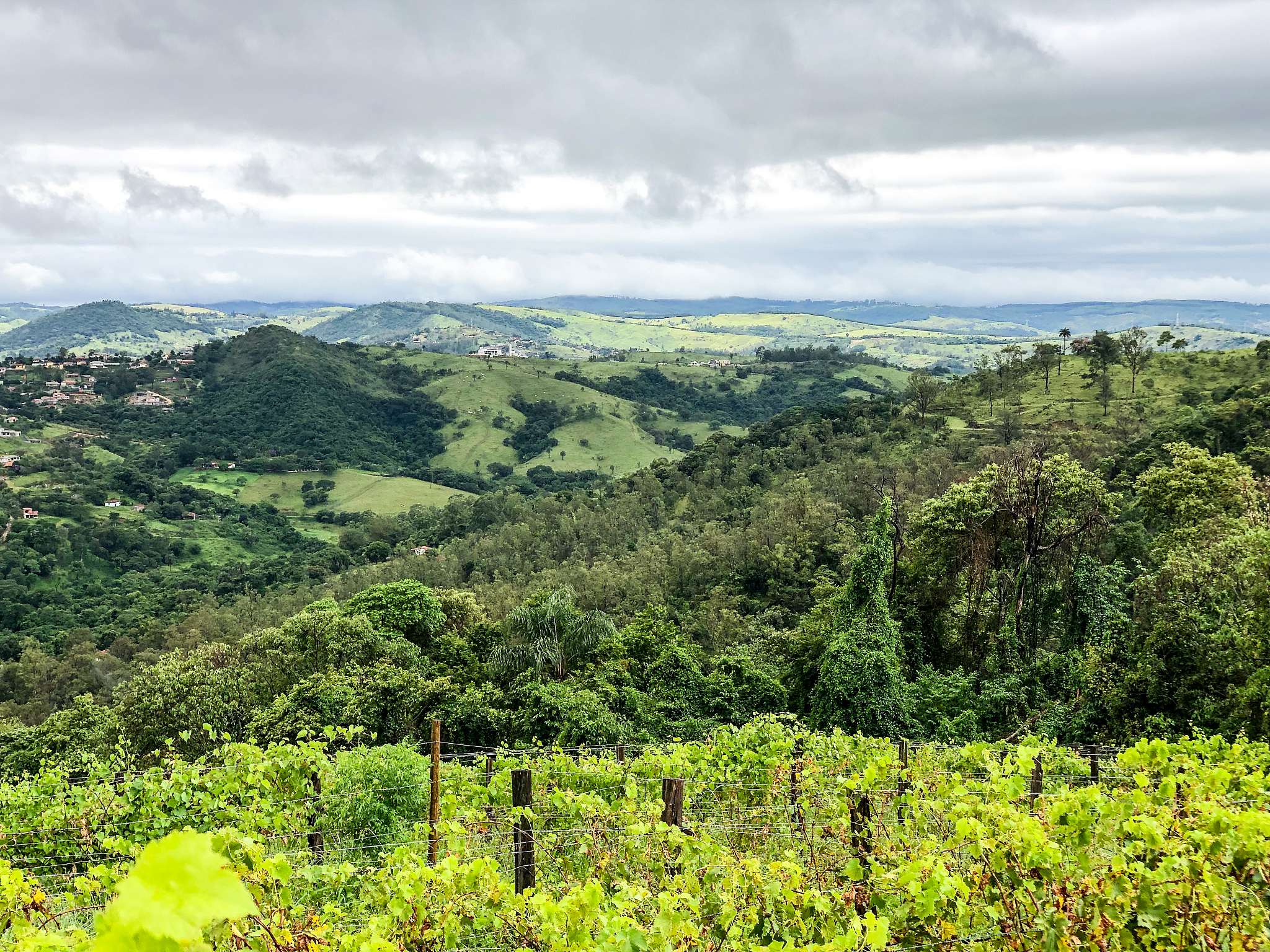 刚果盆地是什么气候类型？带你了解热带雨林气候