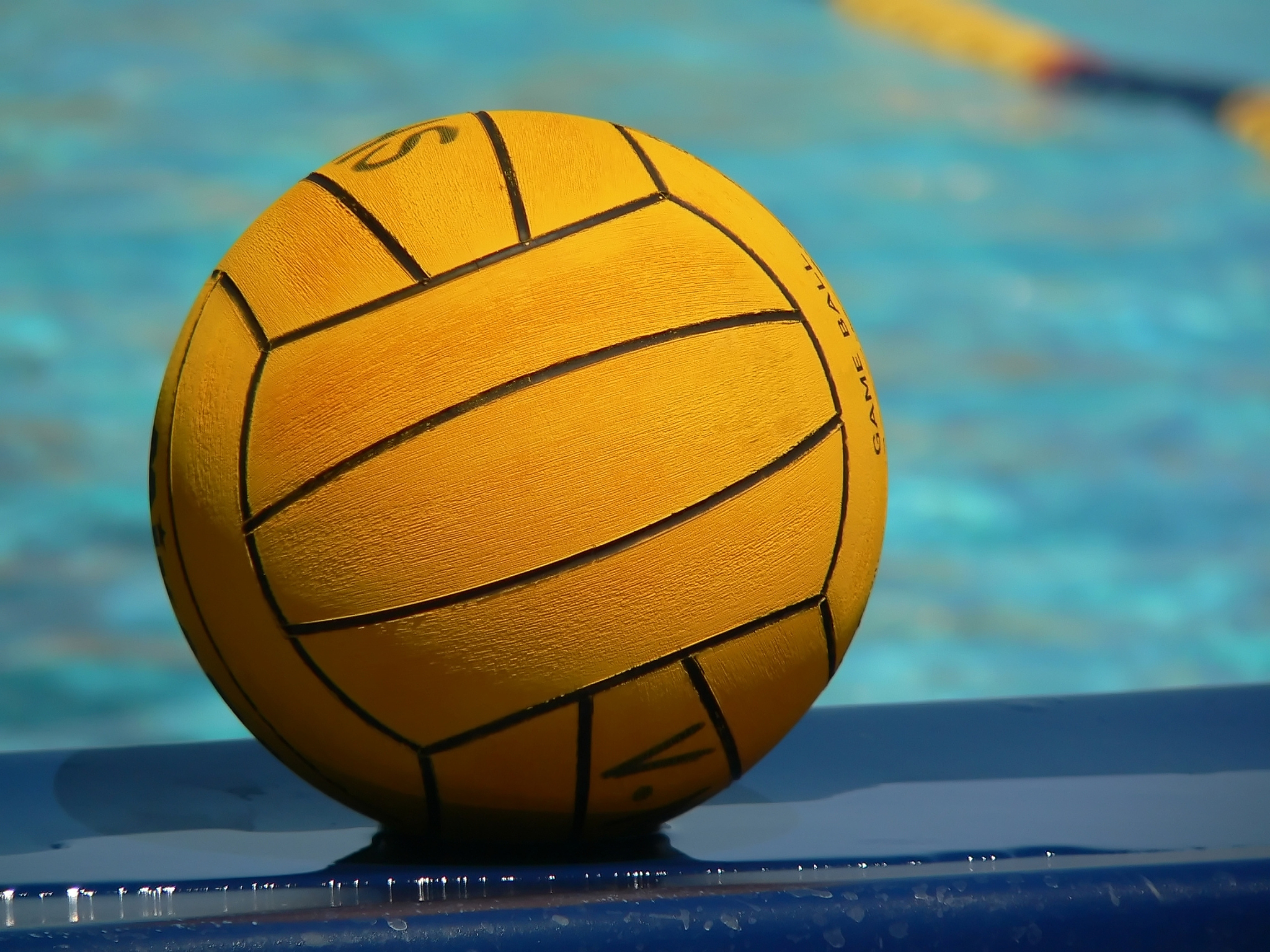 water polo ball
