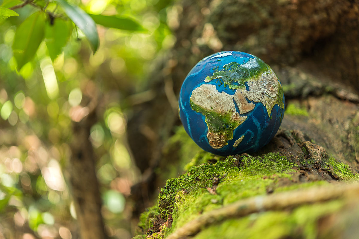 全球变化生物学期刊研究范围：气候变化对生态系统和生物多样性的影响