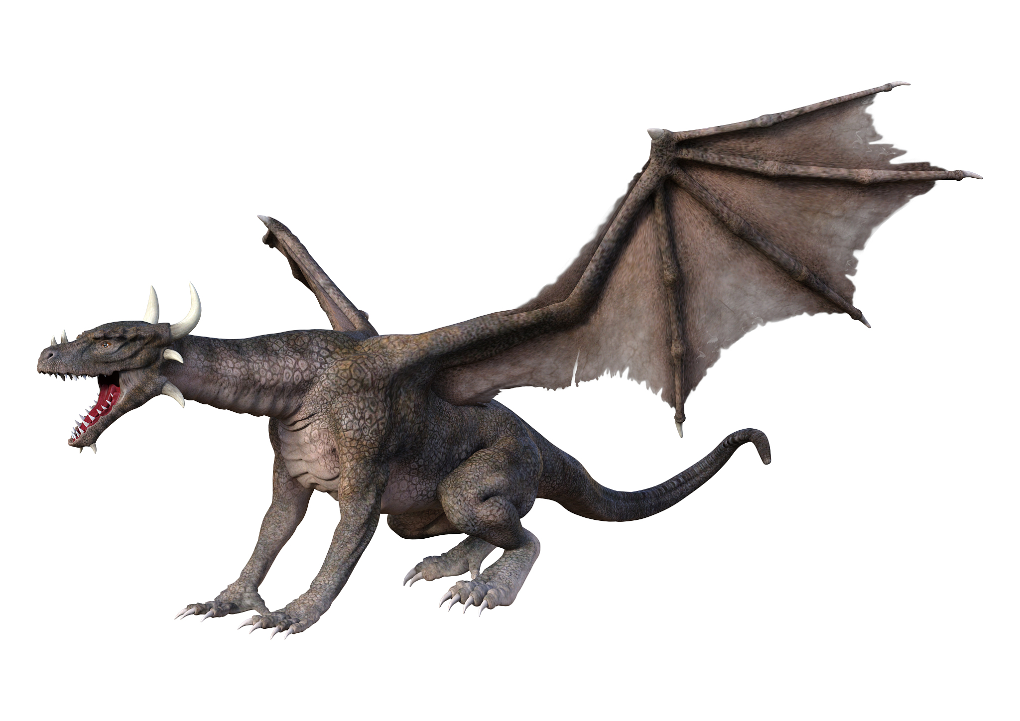 拥有翅膀，飞向梦想：小学生作文