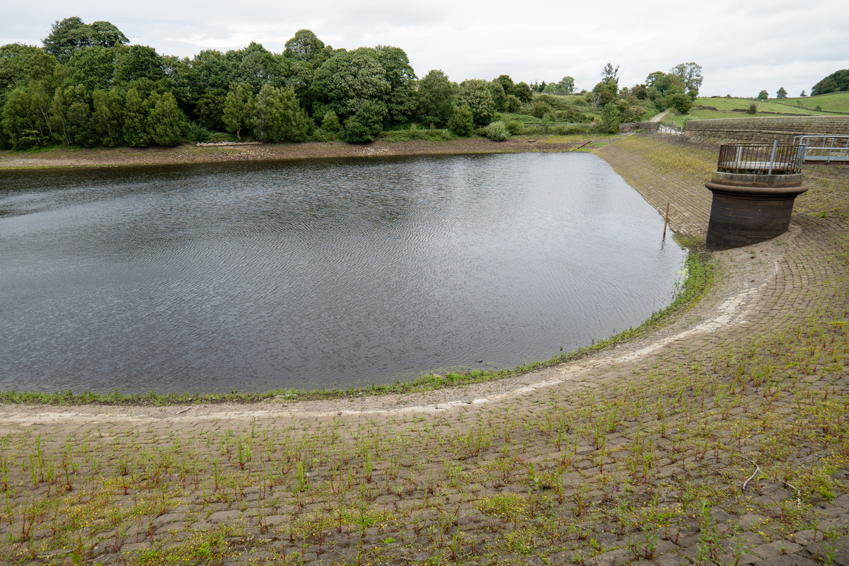 Evolutionary Laws and Driving Mechanisms of Blue-Green Water Resources in the Dongjiang River Basin under Changing Environment