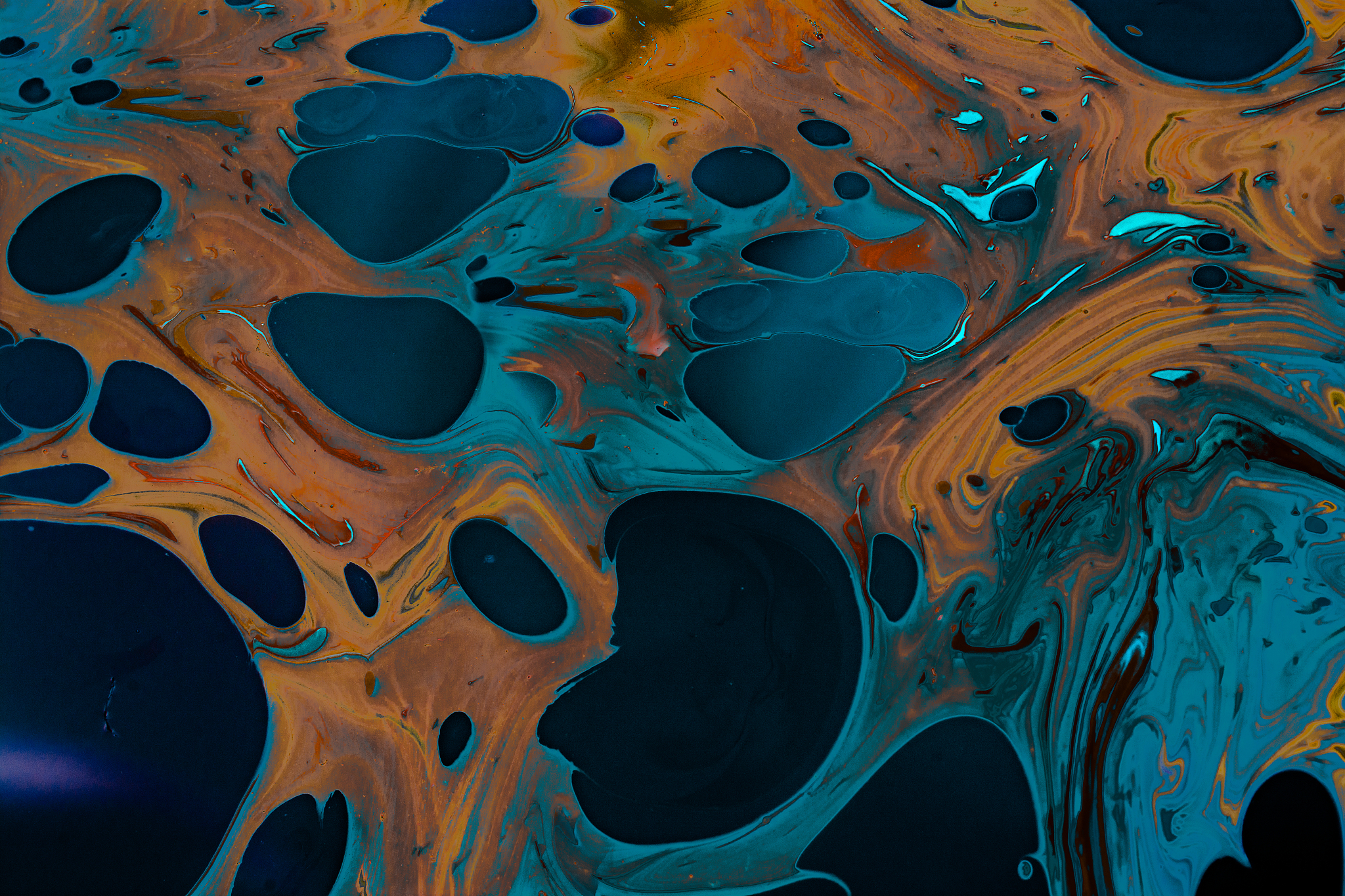 一个人叫乐多是个主播。5个字夸她