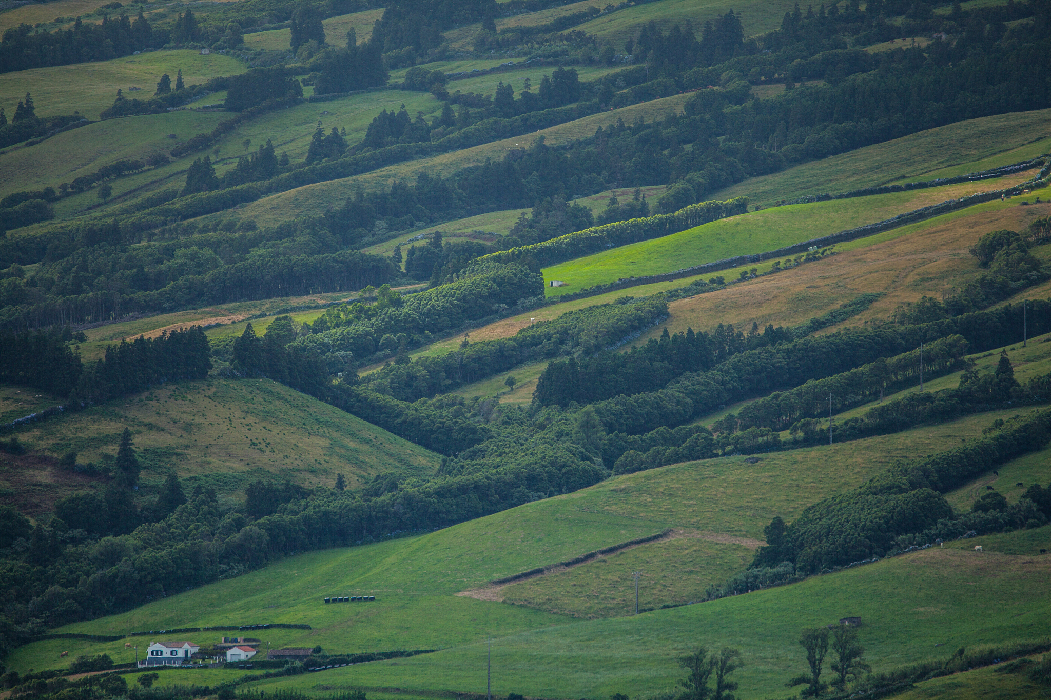 landscape on faial island