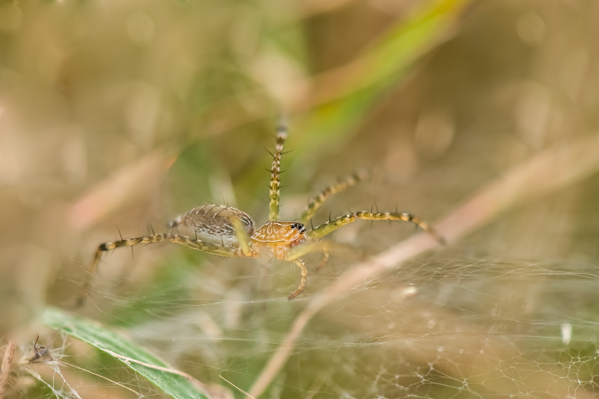 你现在的身份是学前教育老师要参加文章比赛请参照《亲近自然走进生活走出自然缺失症》题目围绕实践创新进行题目拟定保证题目的新颖性不要乱来