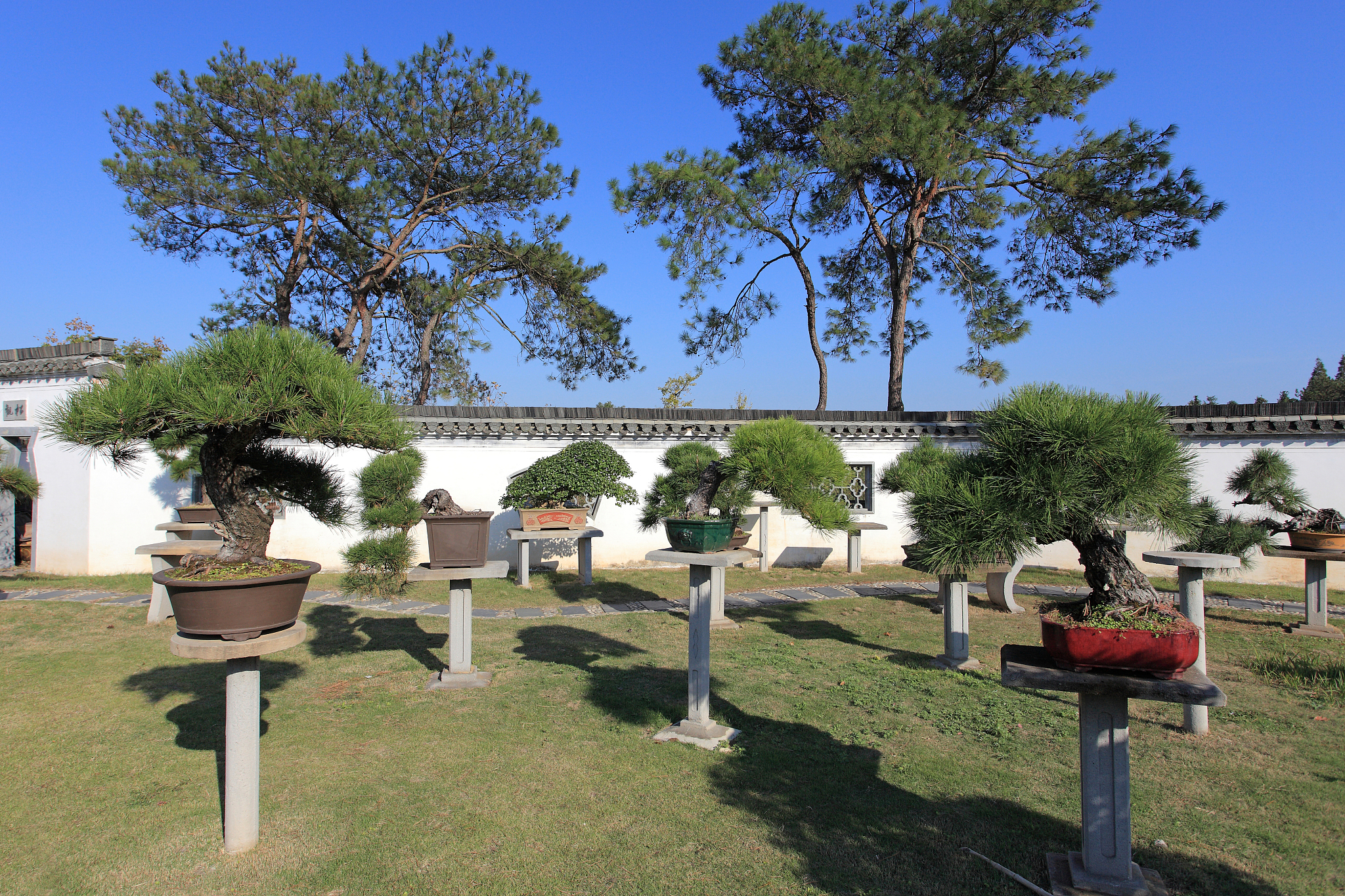 请列举中国农村建设泛盆景化倾向的主要表现