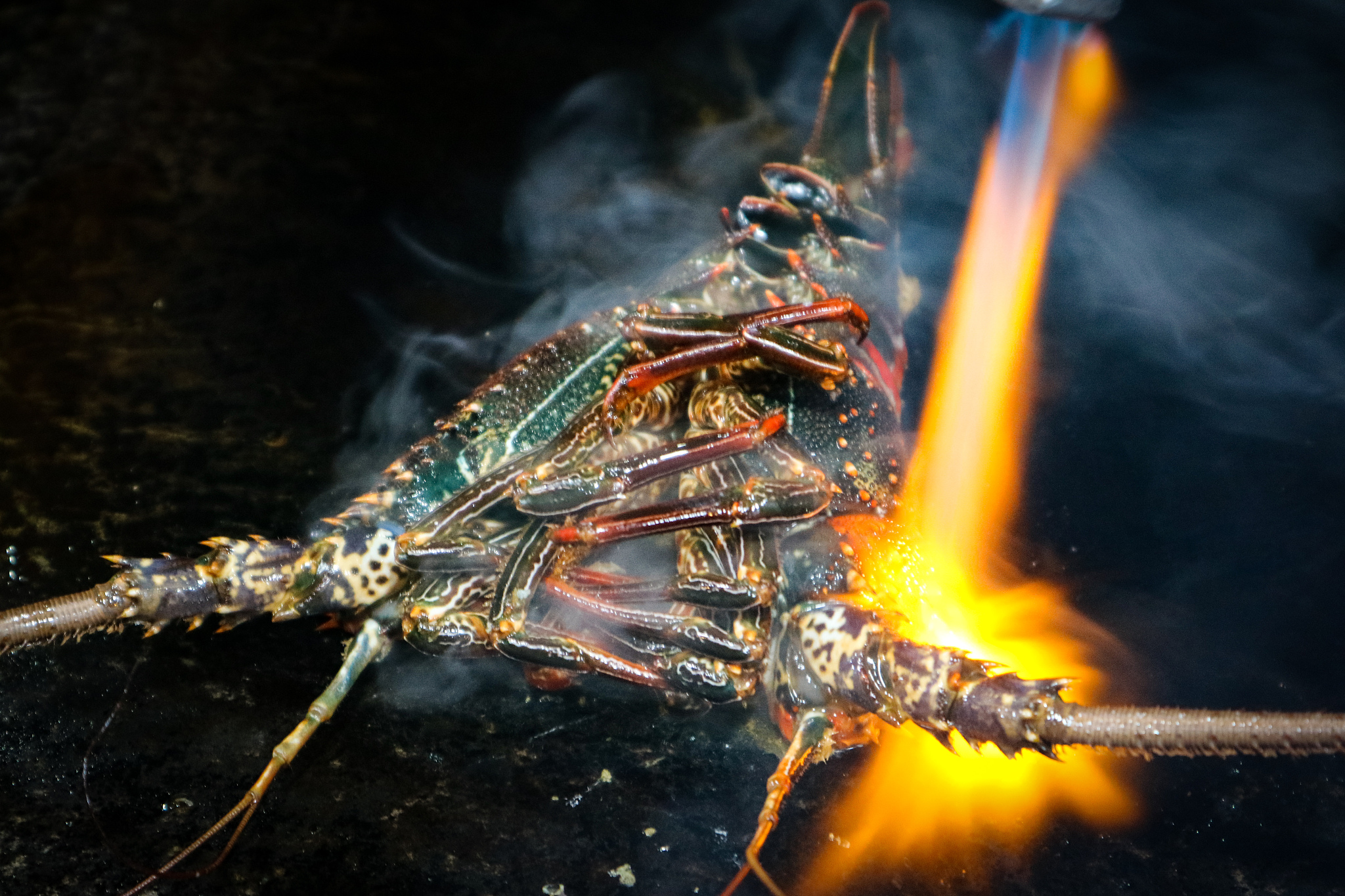 黑暗之魂最佳武器推荐：适合你的战斗风格