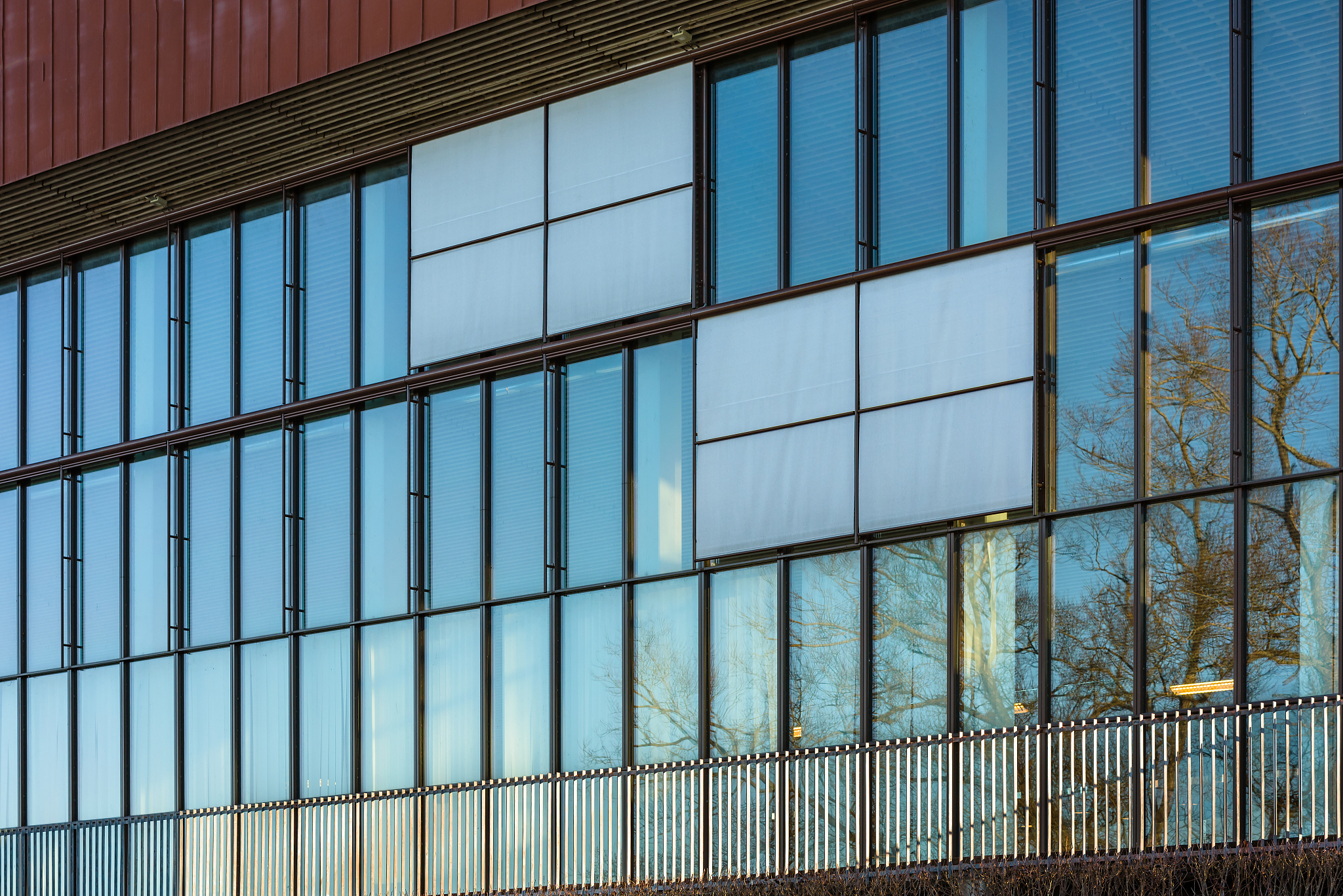 glass facade