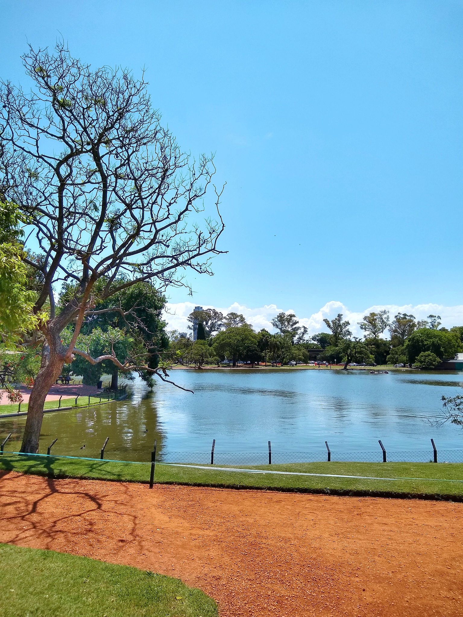 From the perspective of refined management theory write a literature review on the lack of interaction between government subjects and civil organizations in the protection process of Ludang Lake Wetl