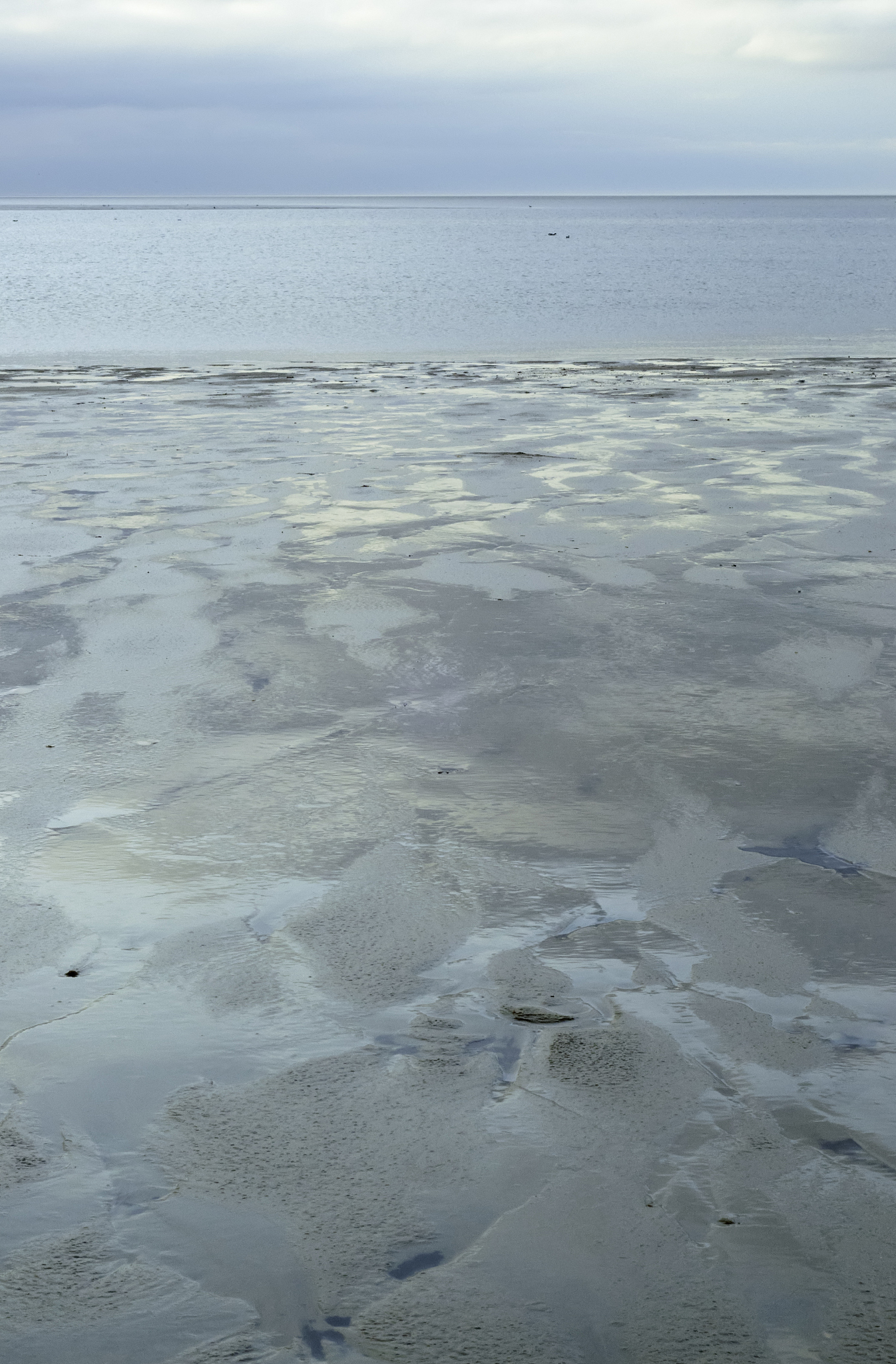 When using WRF to study the impact of terrain and cities on extreme precipitation in Henan Province choose a vertical profile line and a suitable height of several meters