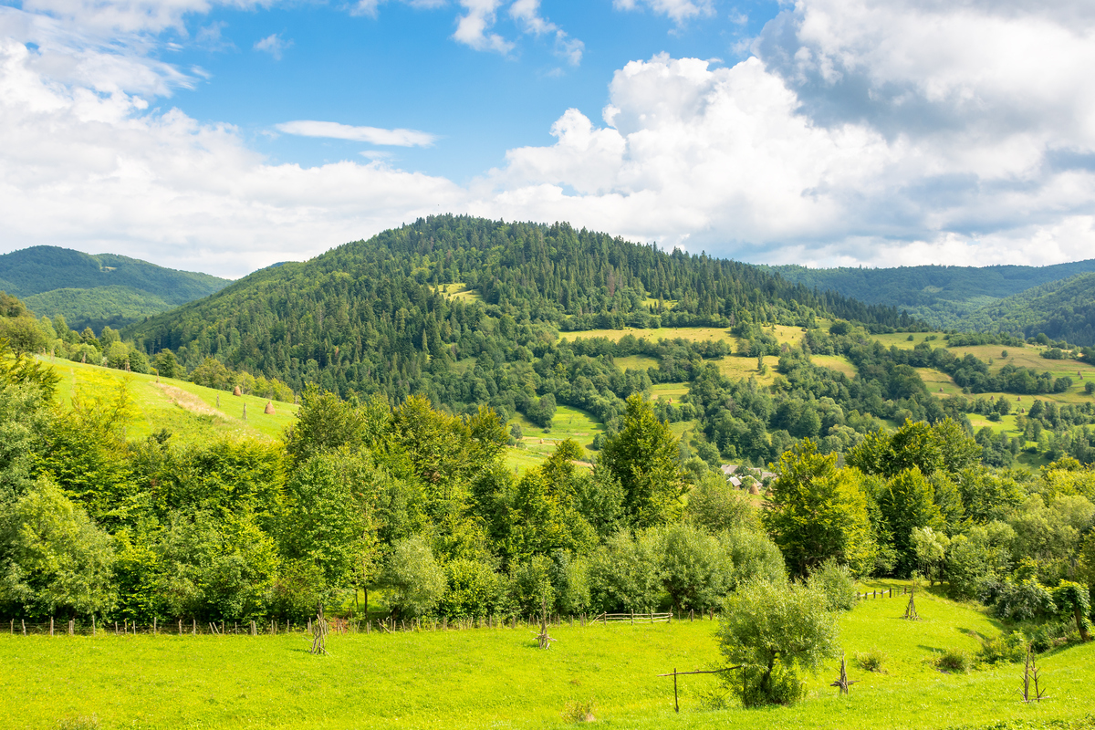 我的家乡：山谷中的美丽秘境