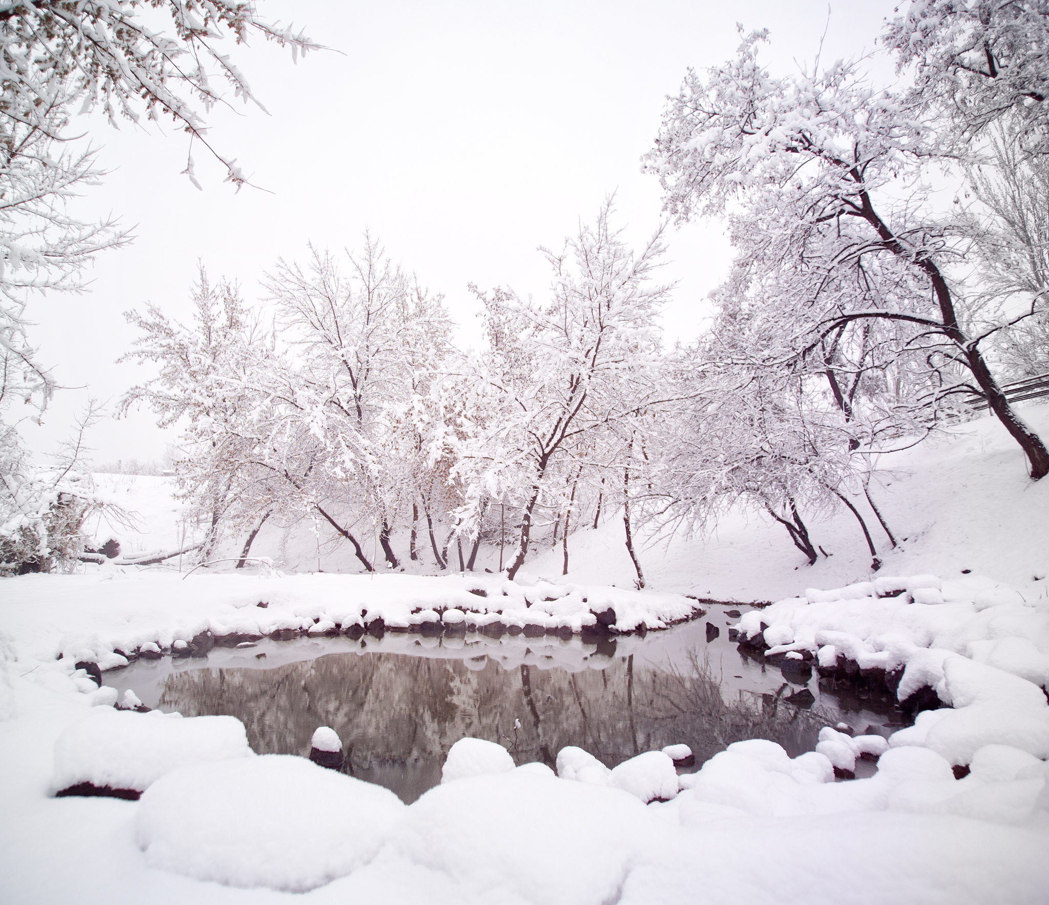 请描写东北长春家乡的冬天风景使用至少两种修辞手法用七年级语言。800+字